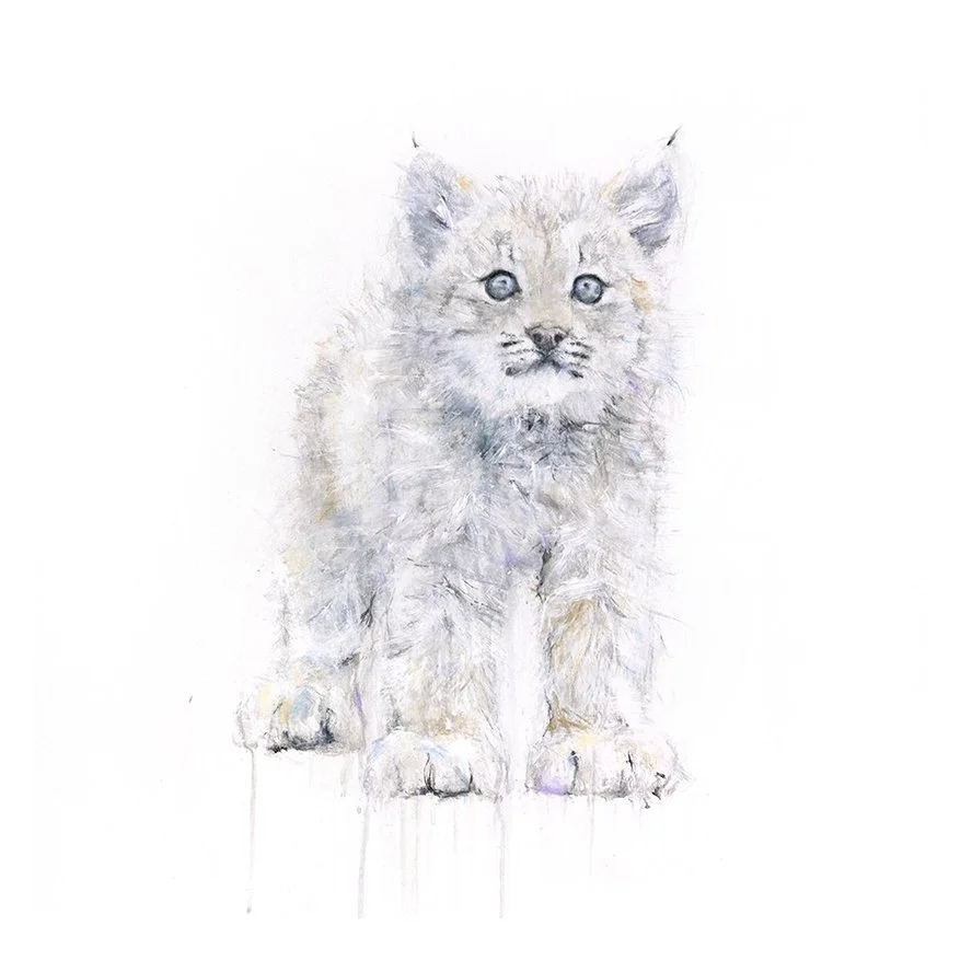 Lynx IV_pour impression.jpg