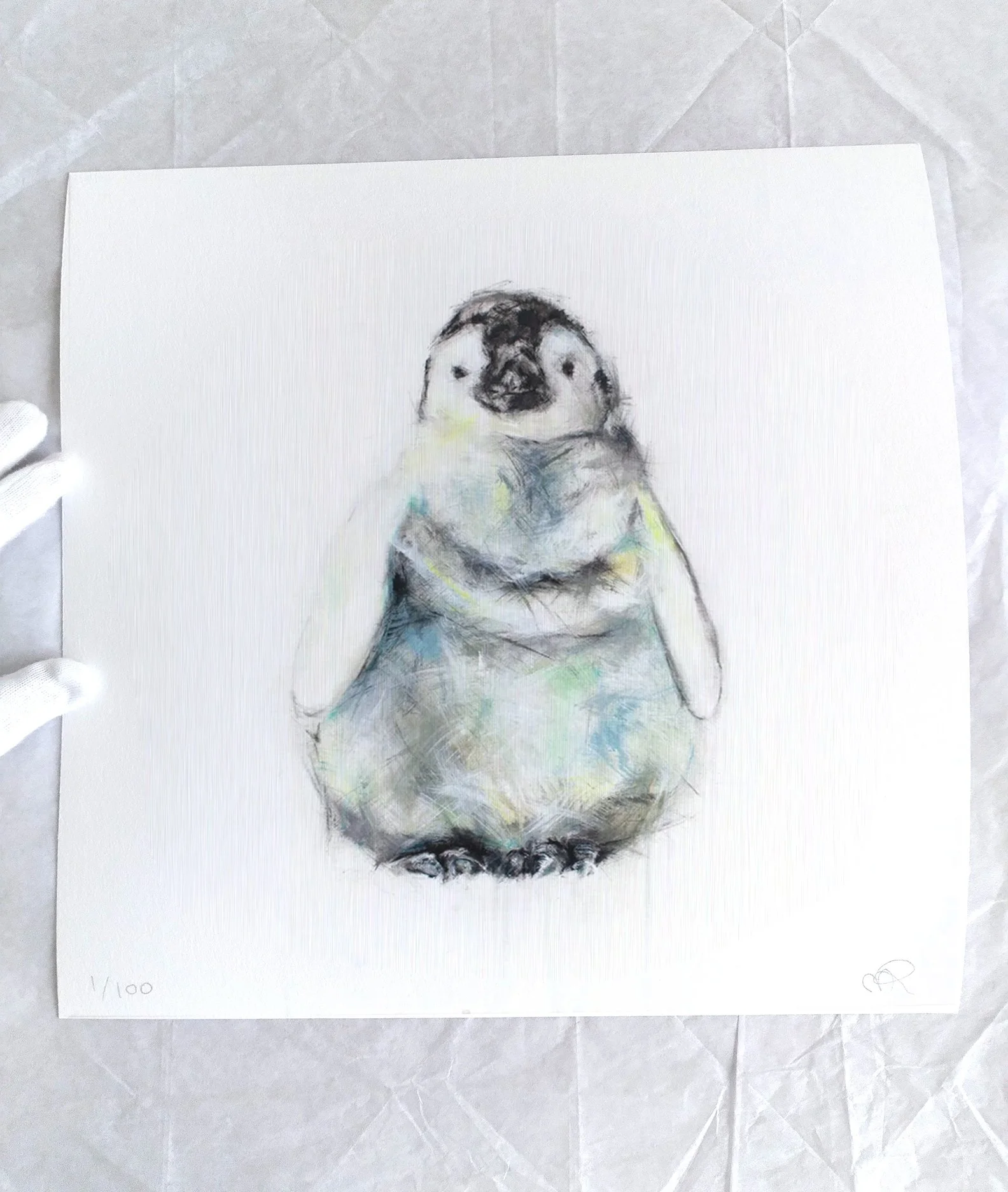 Penguin+II_printimage3.jpg