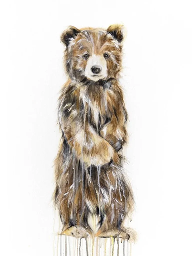 Grizzly+Bear+XIX_printimage_rec.jpg