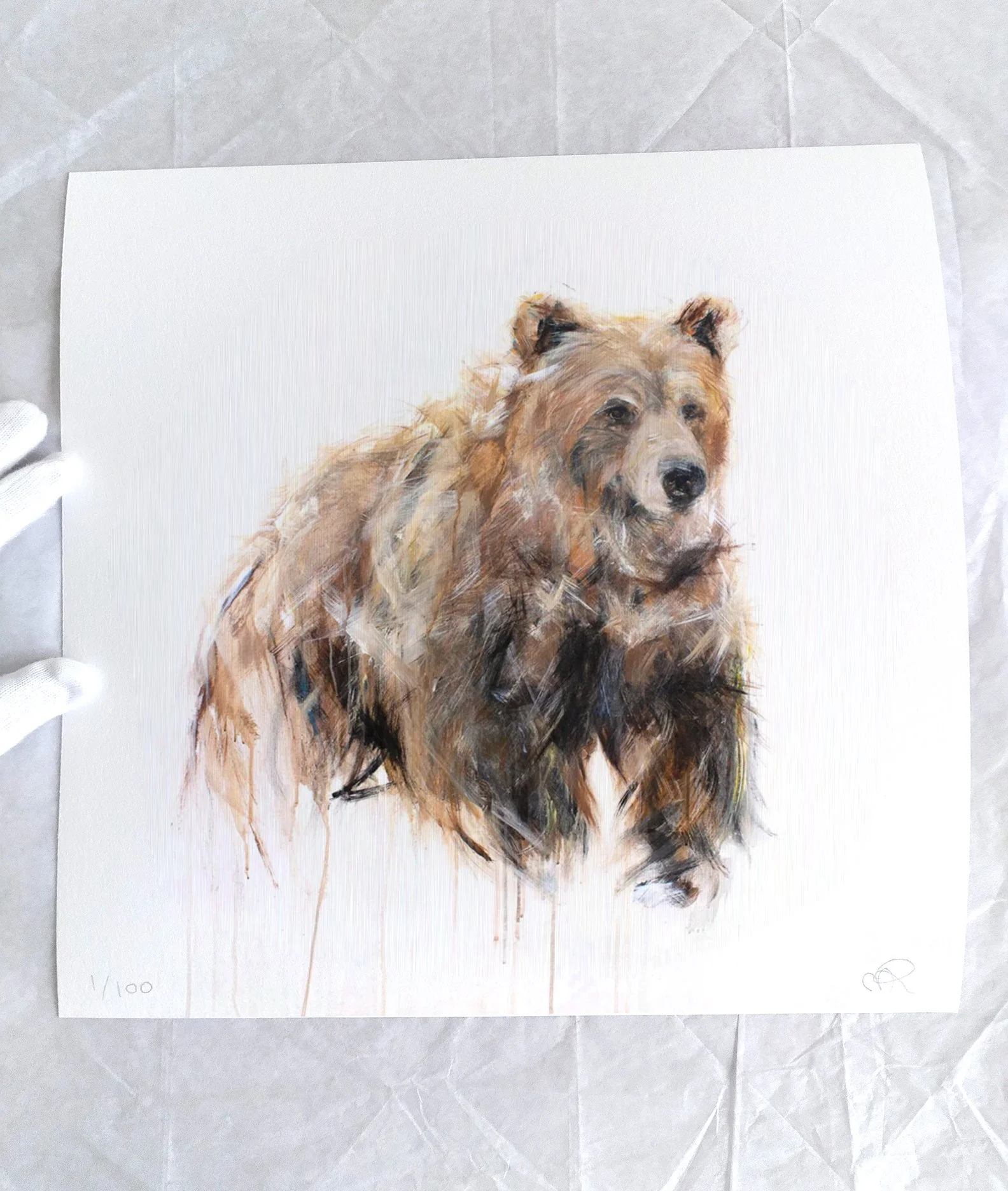 GrizzlyBearVI_printimage3.jpg