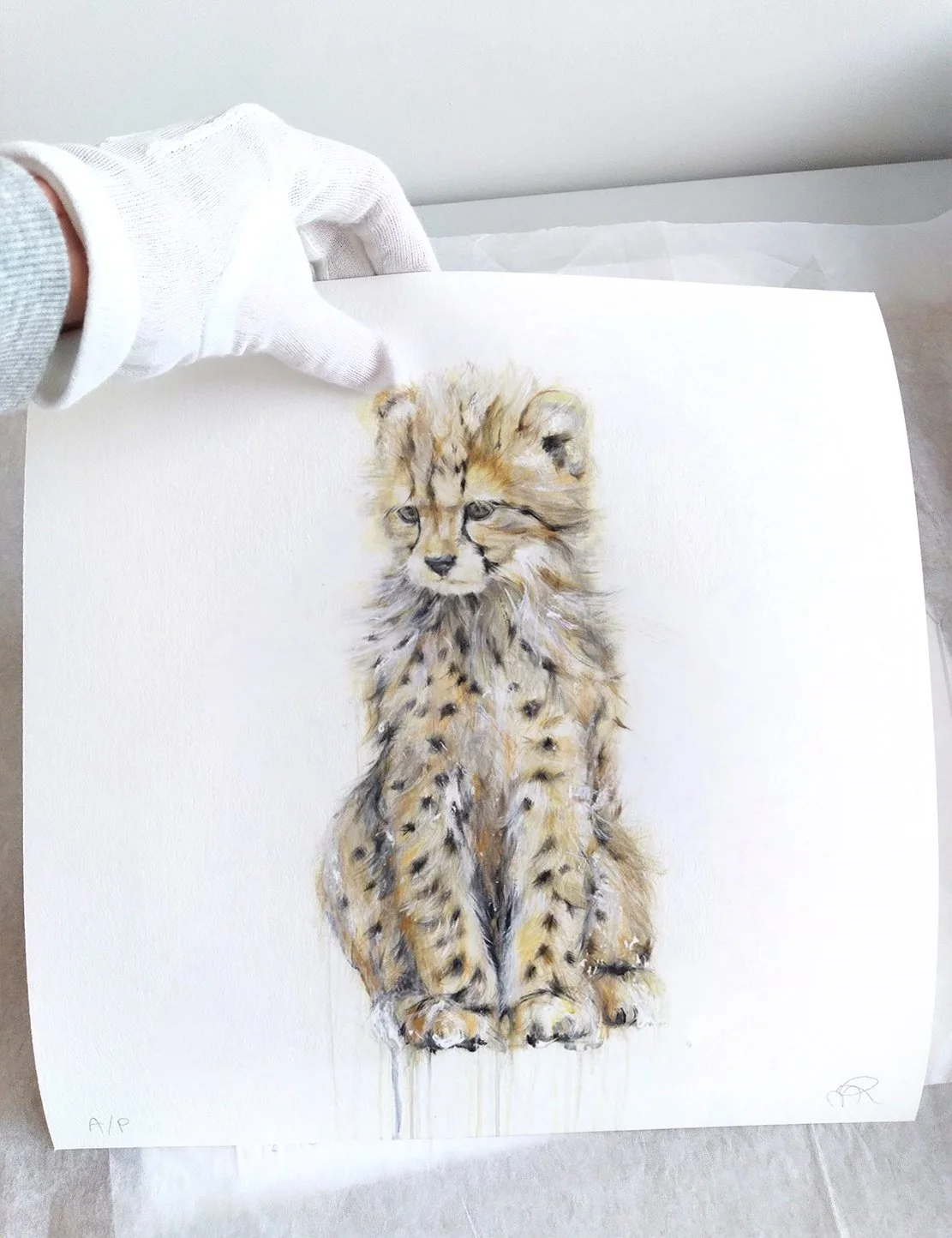 Cheetah+I_printimage3.jpg