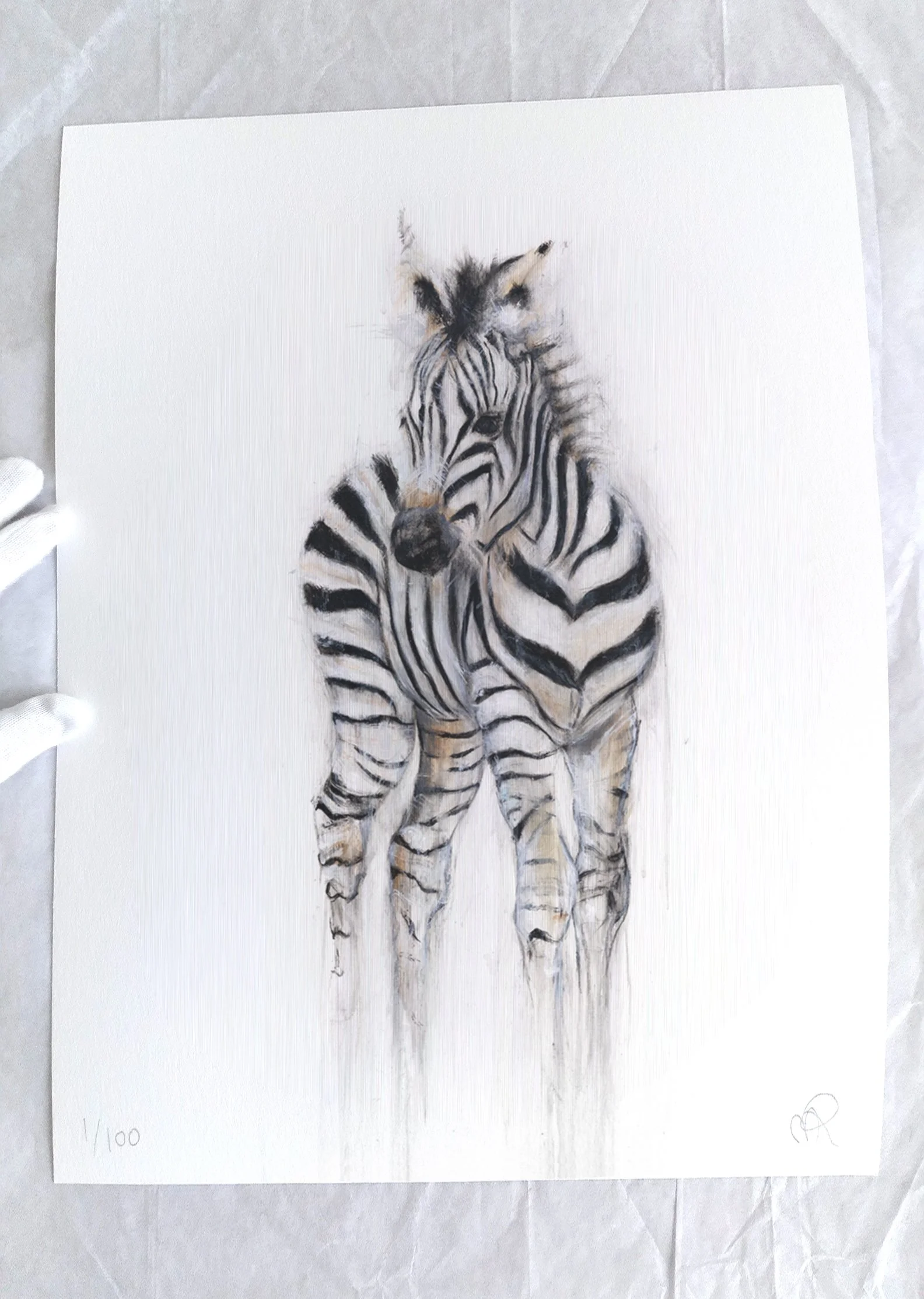 Zebra II_printimage2.jpg