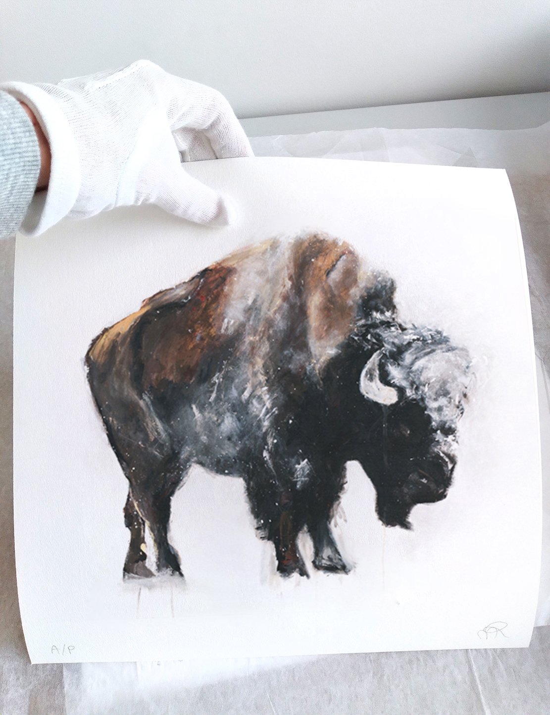 Bison+XIV_printimage2.jpg