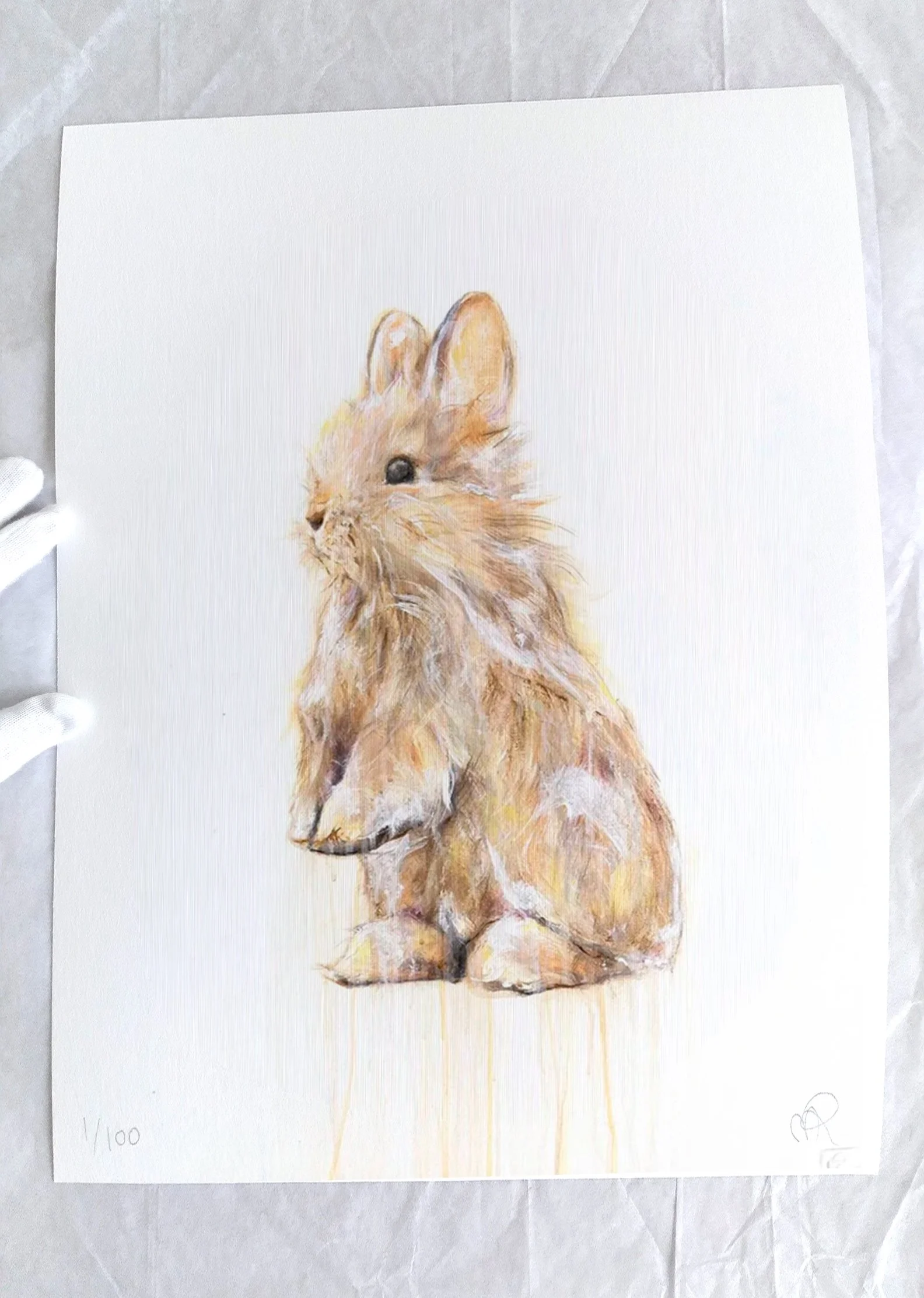 Rabbit VI printimage2.jpg