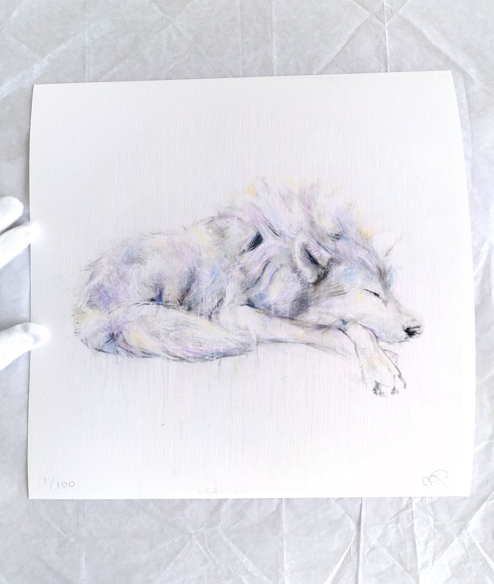 Wolf+VIII_printimage2.jpg