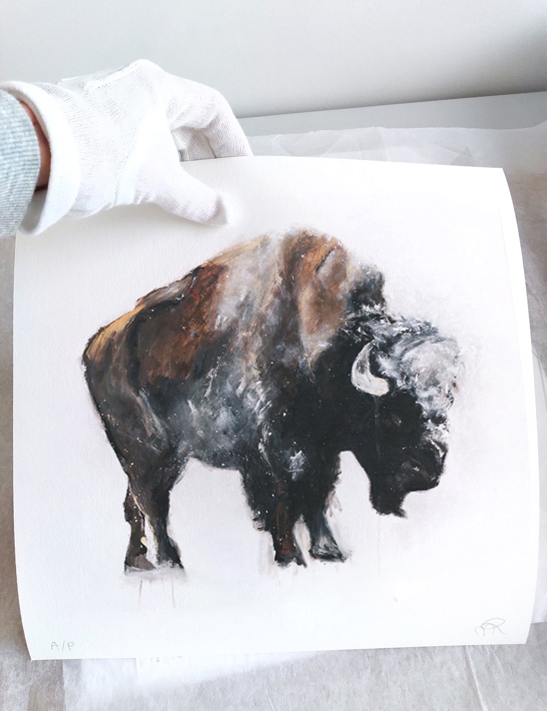 Bison+XIV_printimage22.jpg