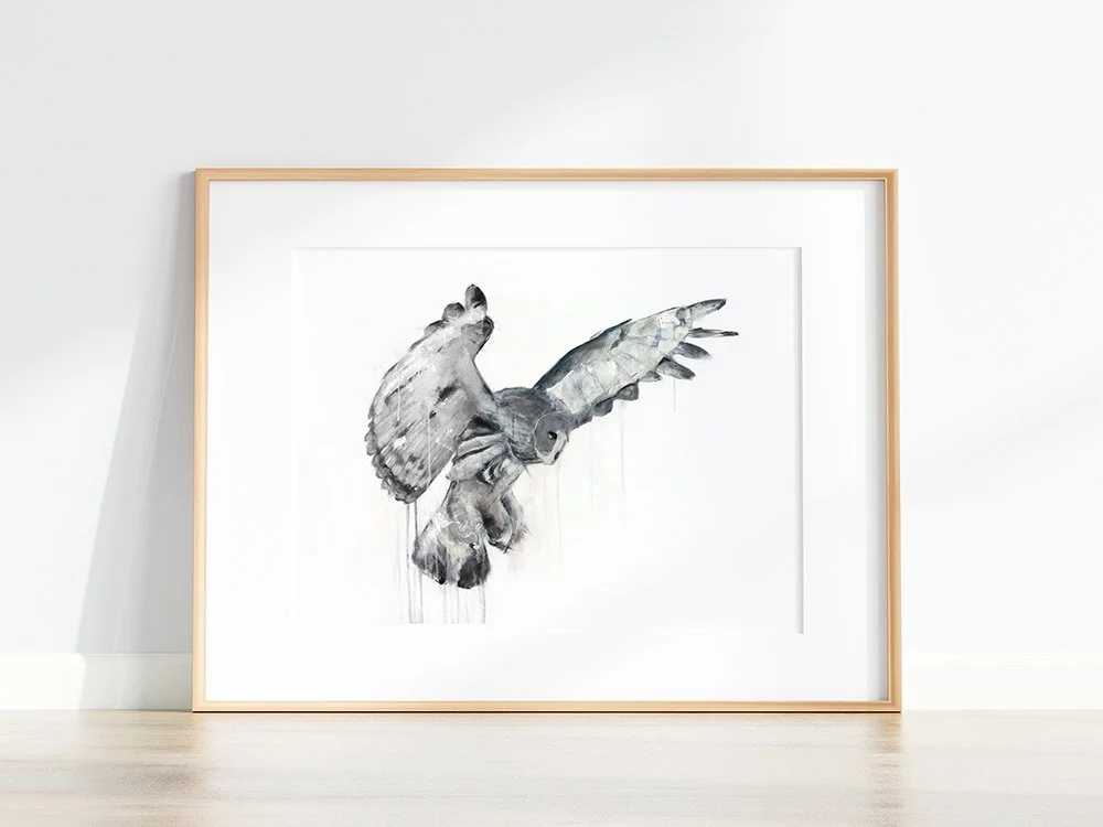 Great Grey Owl I_printimage22.jpg
