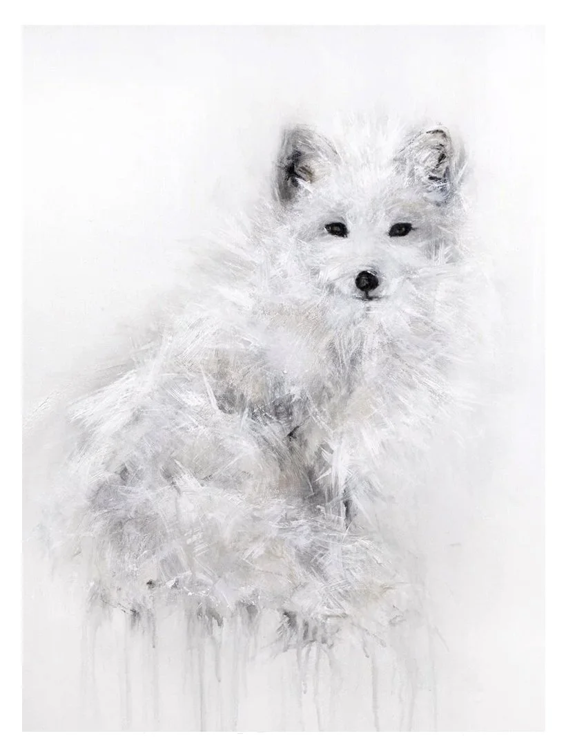 Arctic Fox III_printimage2.jpg