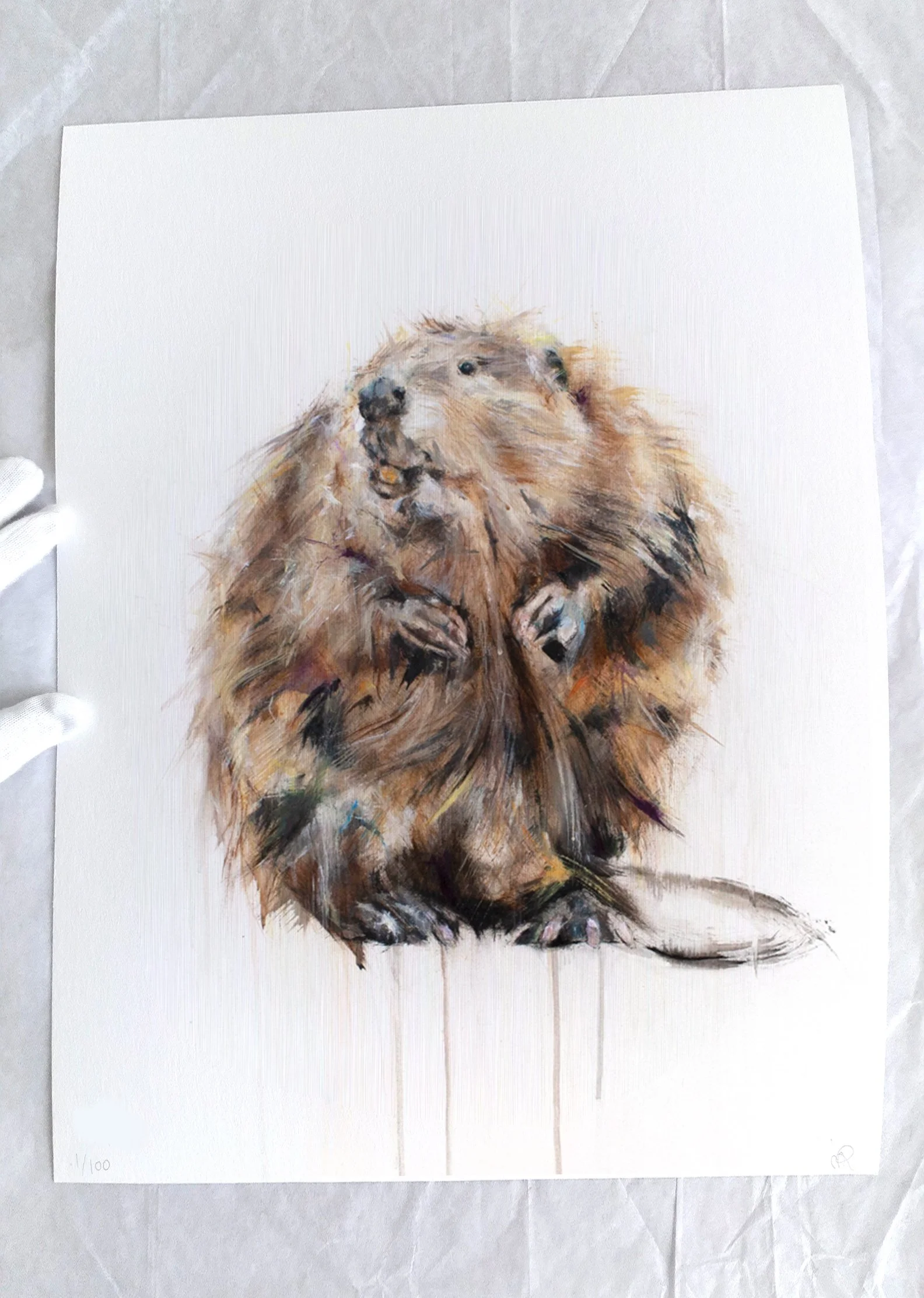 Beaver I_printimage3.jpg
