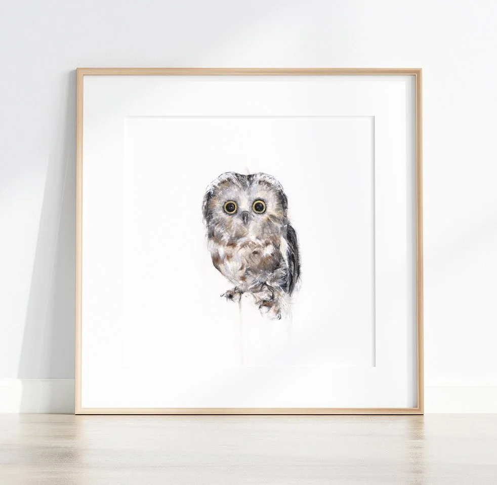 Northern Saw-Whet Owl I_printimage2.jpg