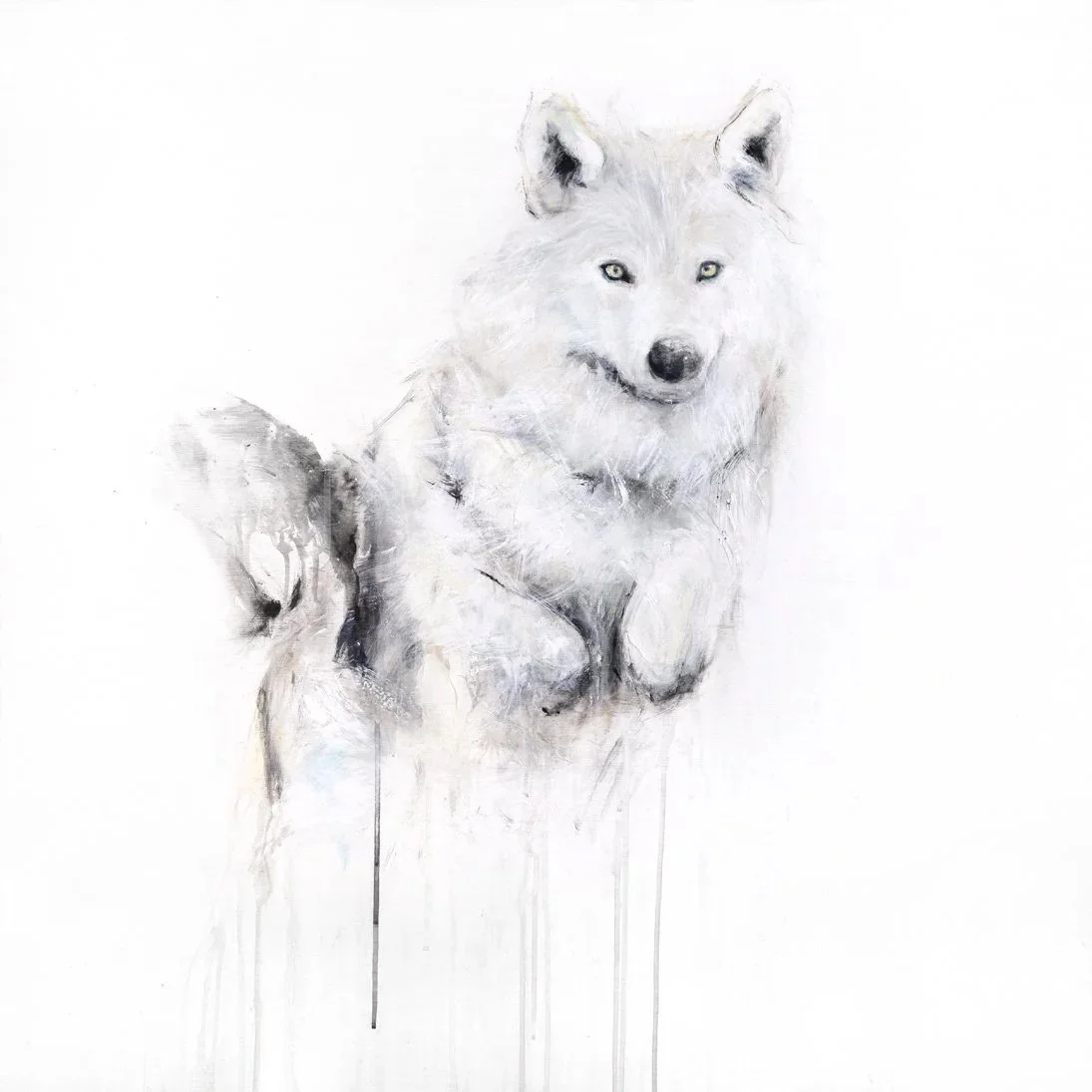 Wolf+VII_printimage.jpg