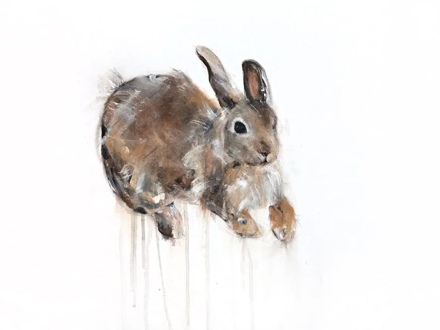 Cottontail Rabbit I_printimage.jpg