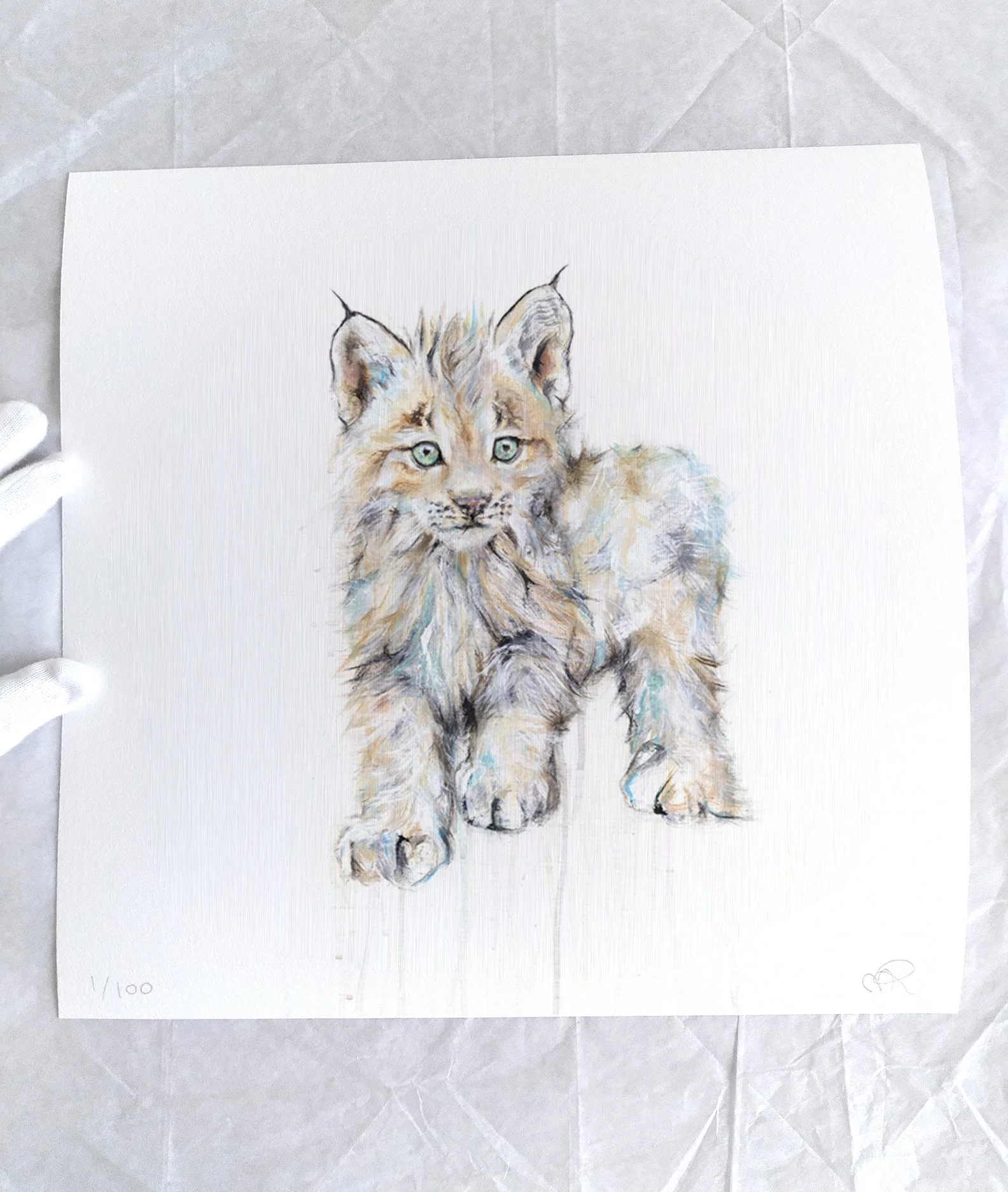 Lynx V_12x12_printimage3.jpg