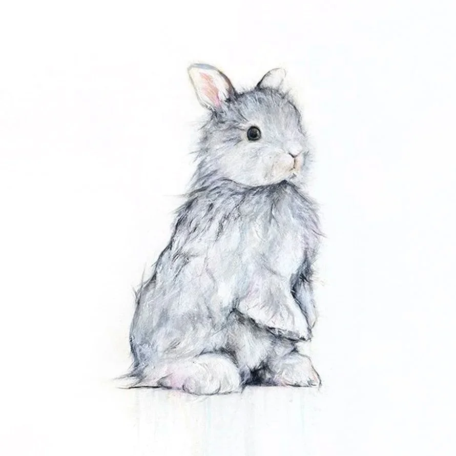 Rabbit+V_printimage3.jpg