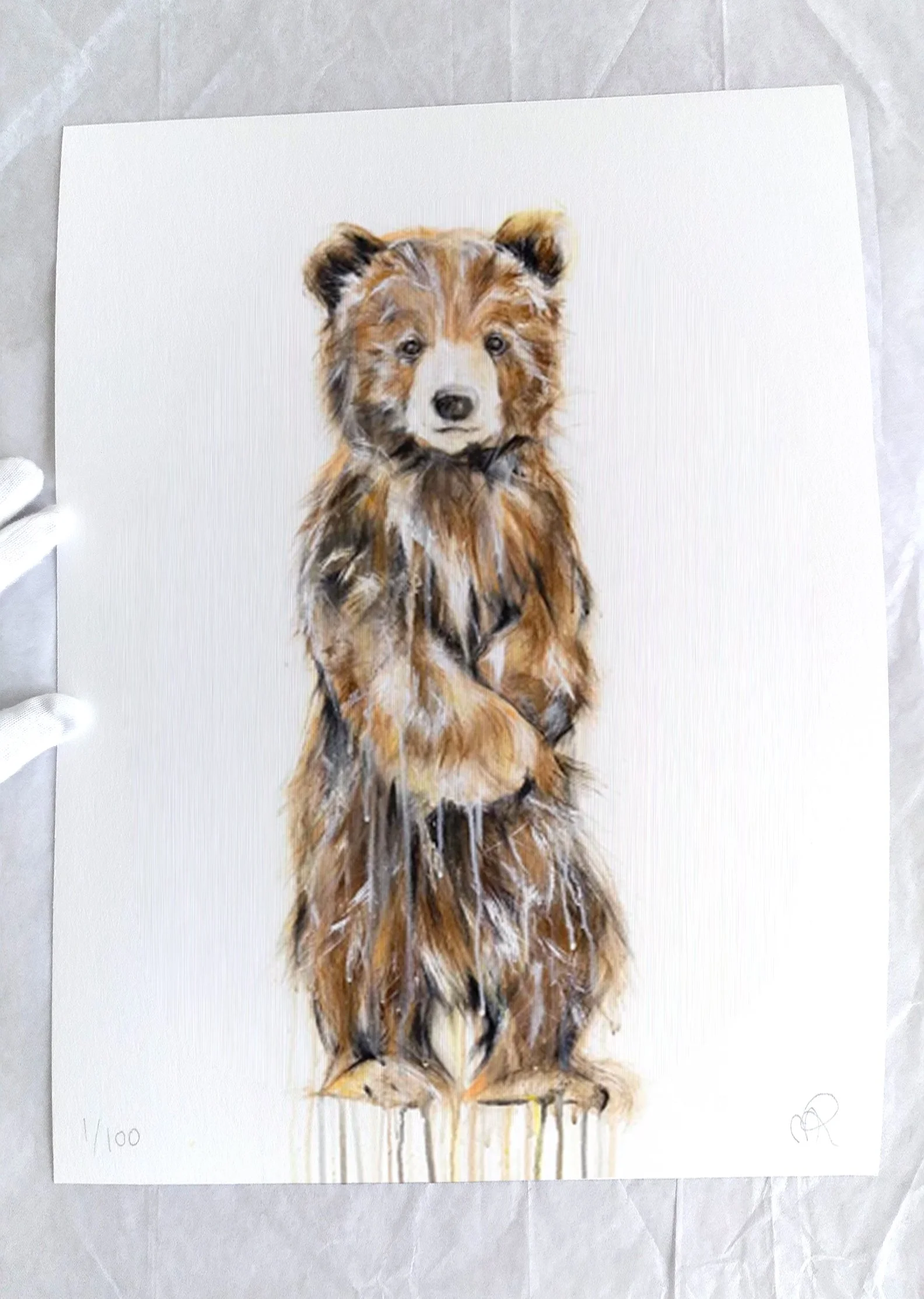 Grizzly+Bear+XIX_printimage_rec3.jpg