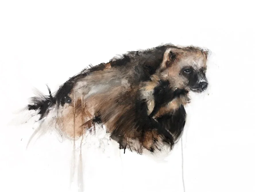 Wolverine I_printimage.jpg
