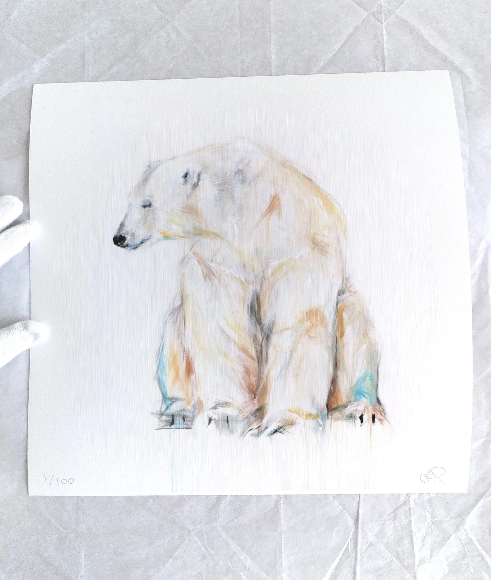 Polar+Bear+XLIV_printimage3.jpg