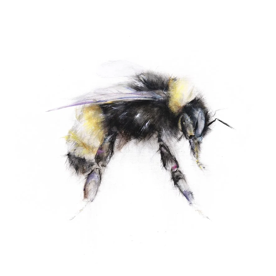 Bumblebee+I_printimage.jpg