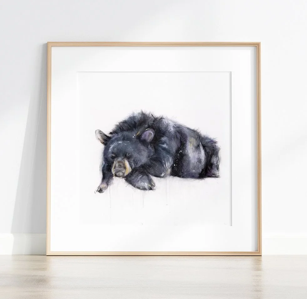 Black+Bear+II_printimage_3.jpg