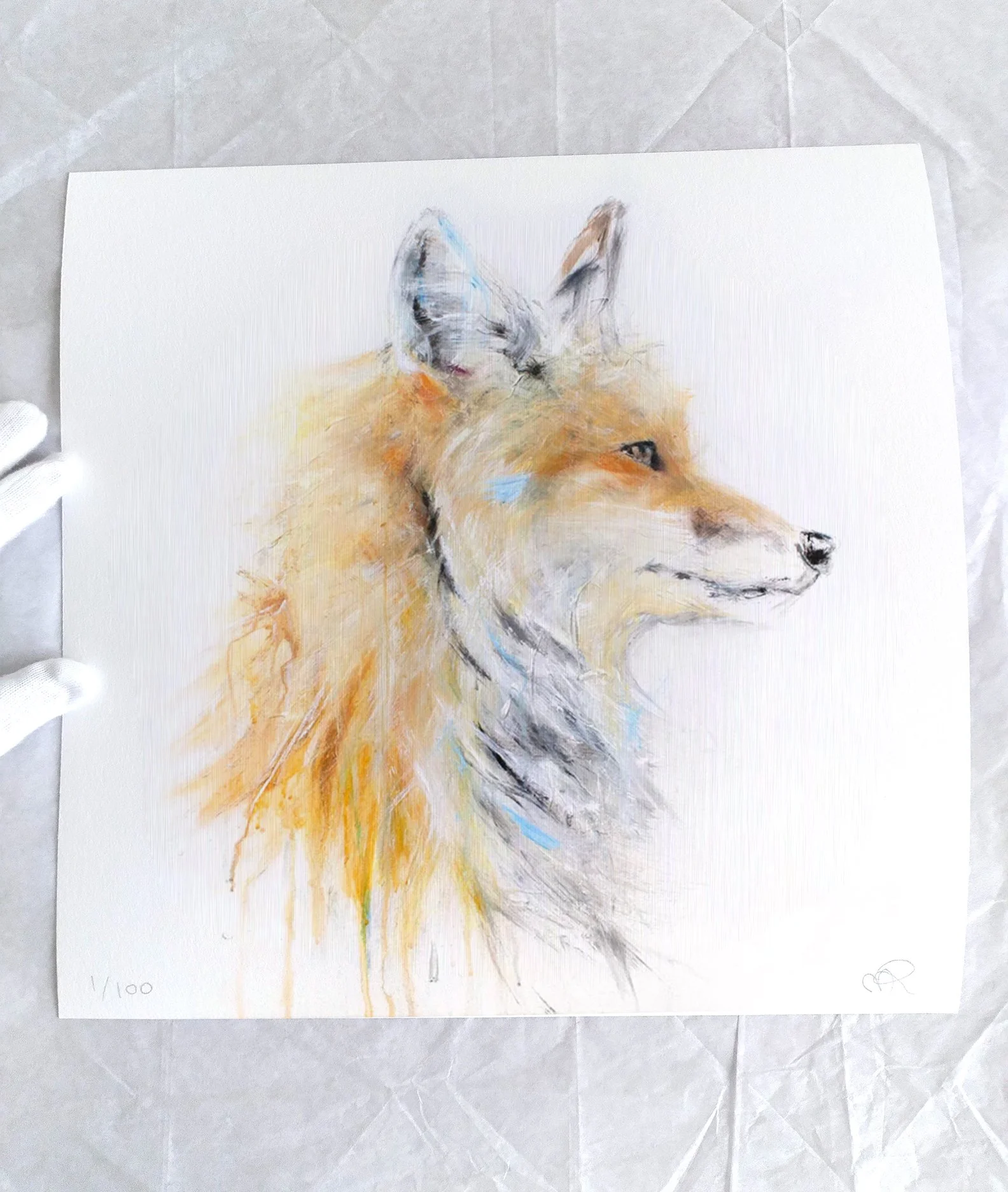 Fox+V_1111_4_printimage3.jpg