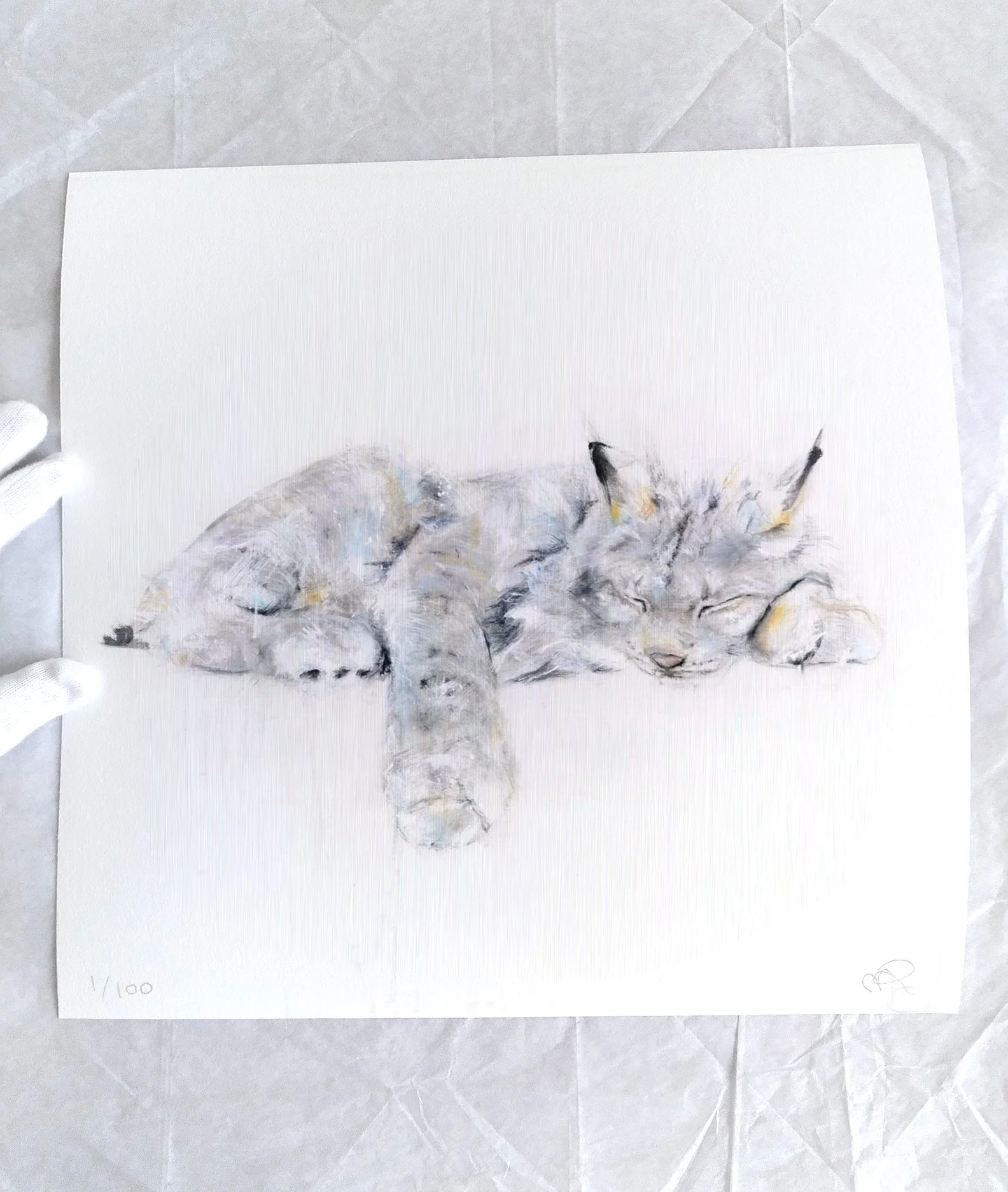 Lynx+III_printimage2.jpg