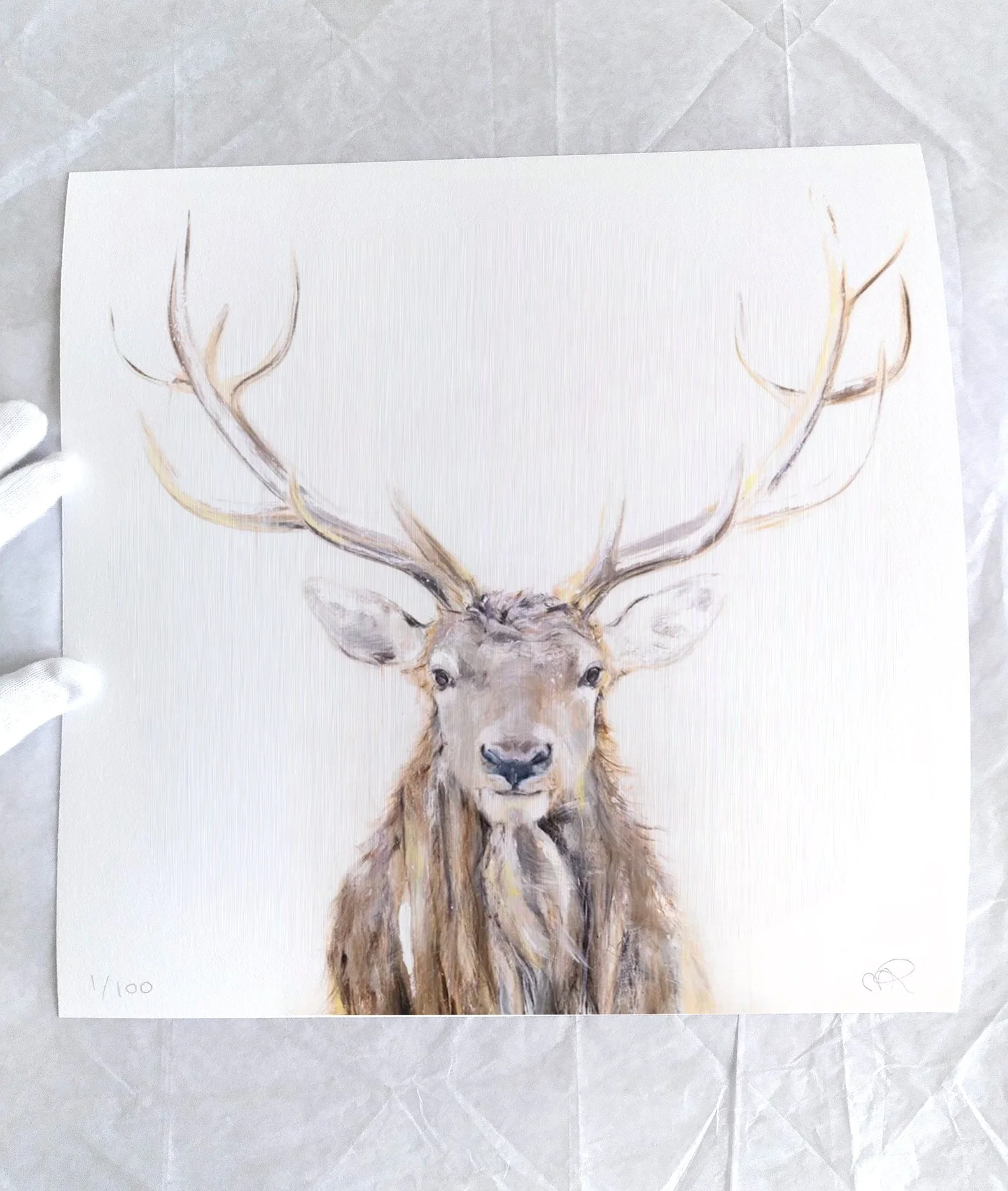 Elk+III_printimage3.jpg
