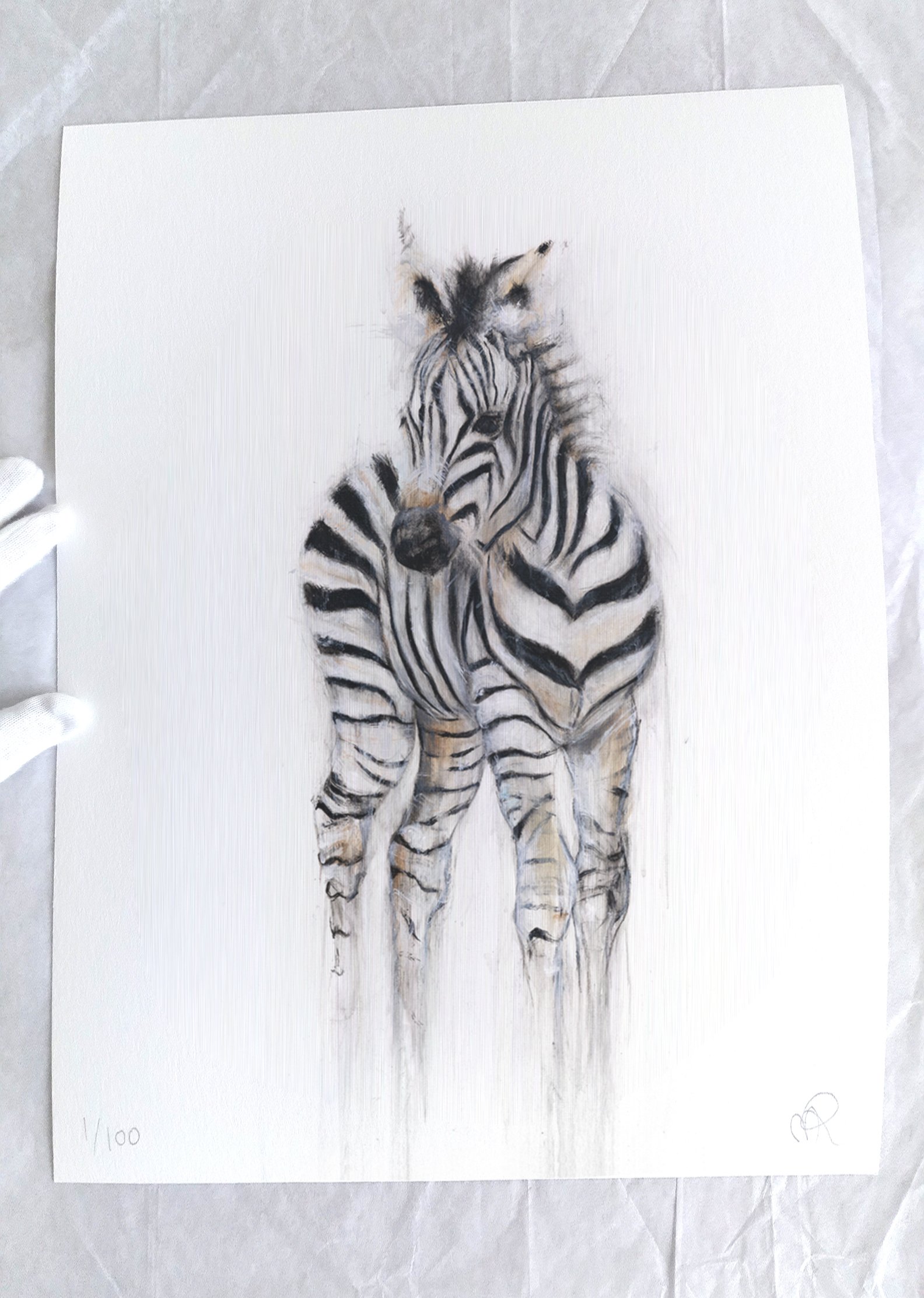 Zebra II_printimage2.jpg