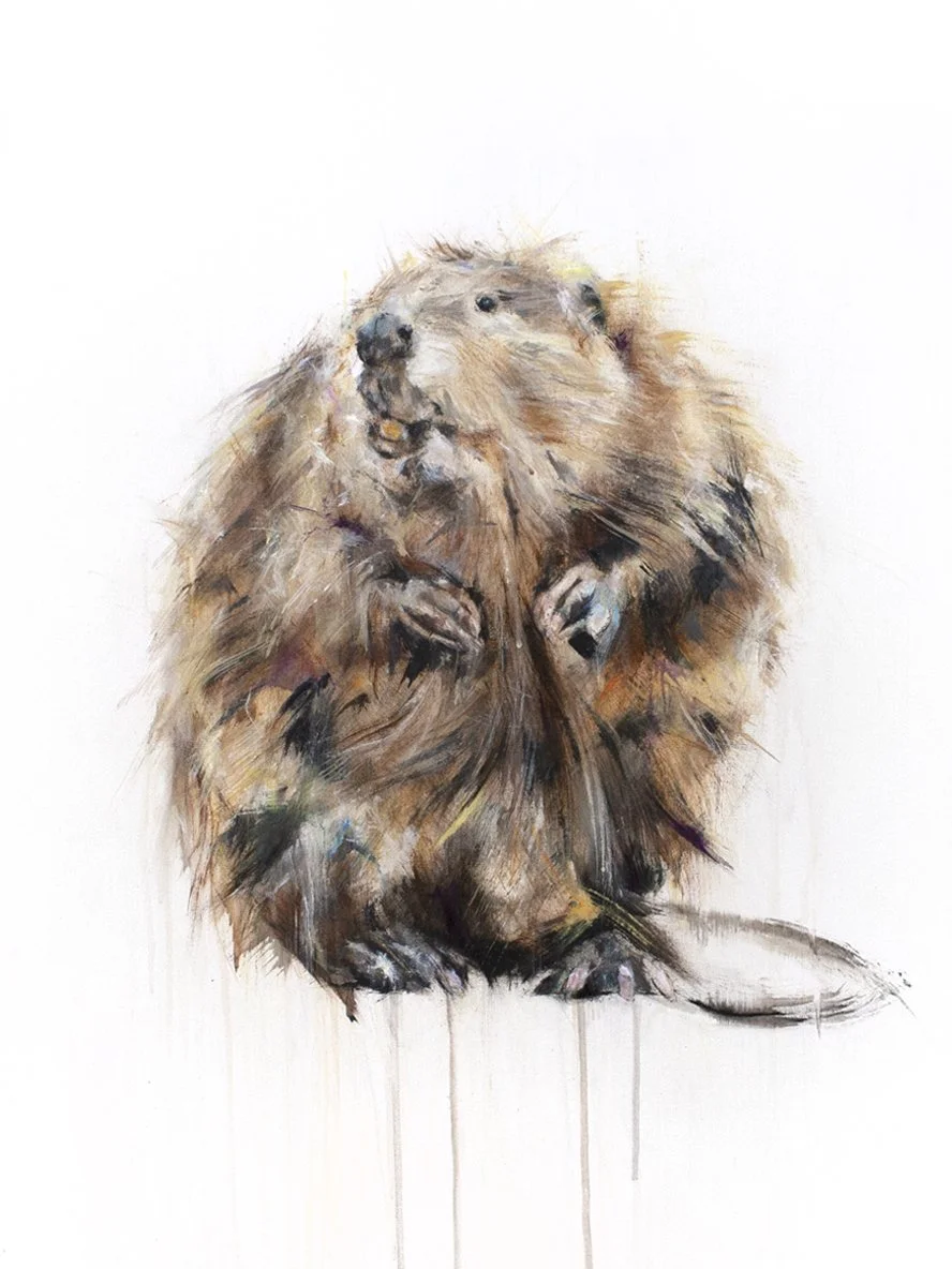Beaver I_printimage.jpg