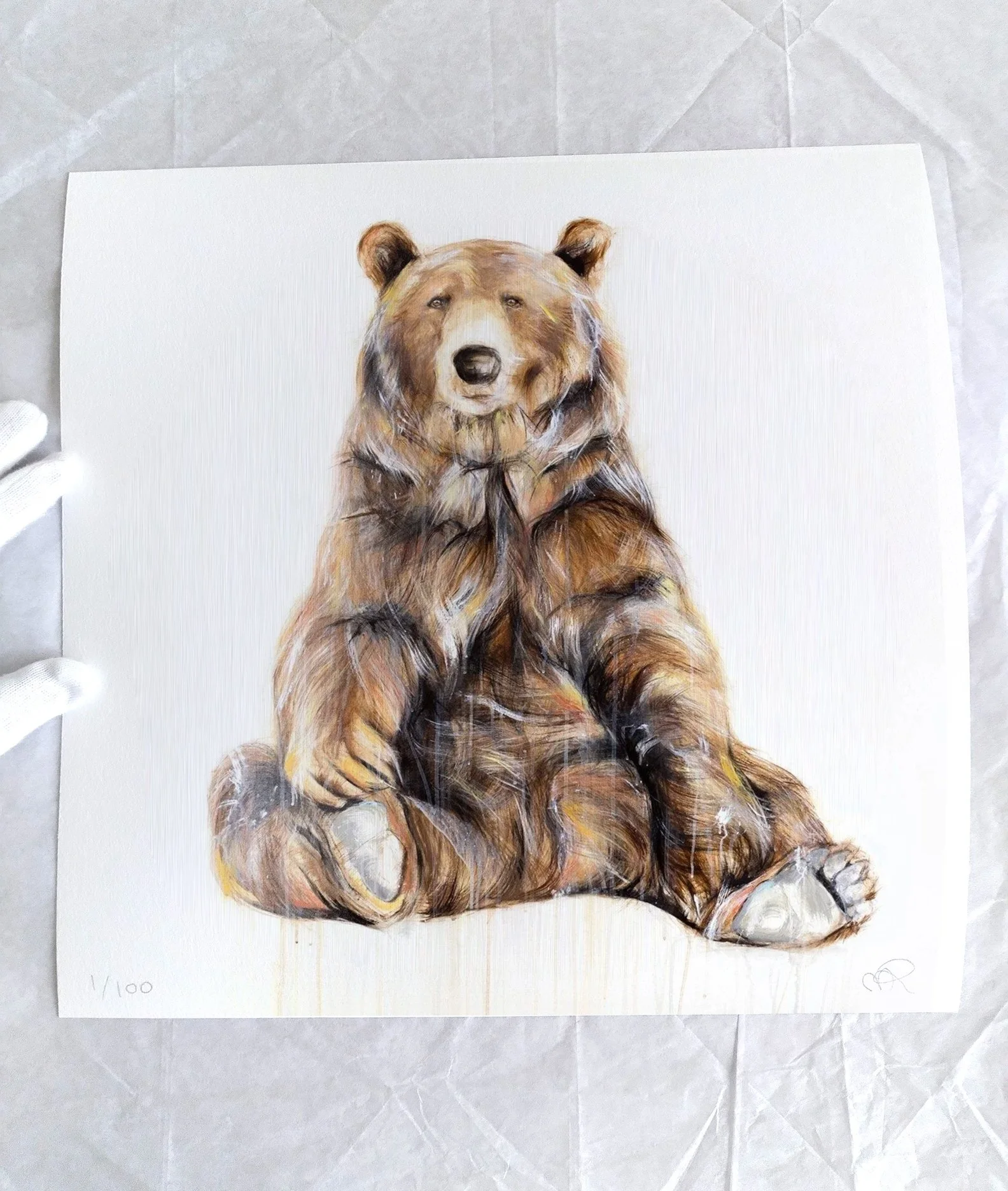 Grizzly+Bear+XVI_printimage3.jpg