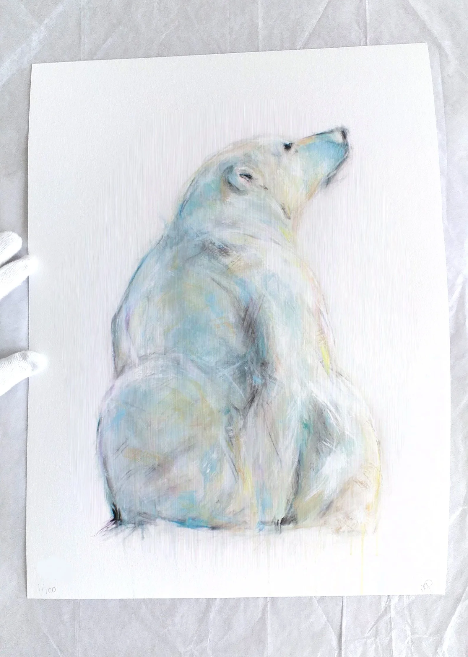 Polar+Bear+XXVIII_printimage3.jpg