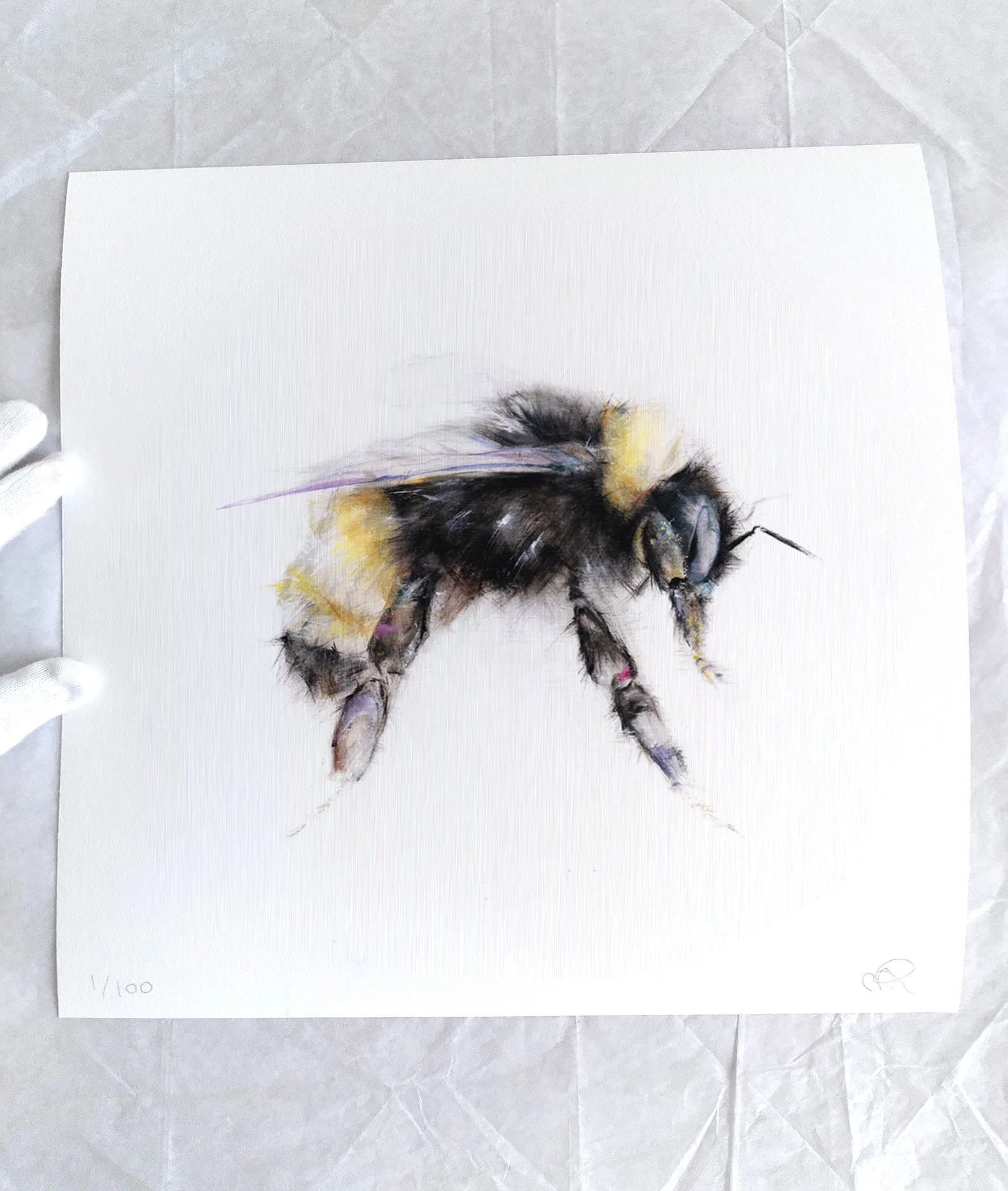 Bumblebee+I_printimage3.jpg