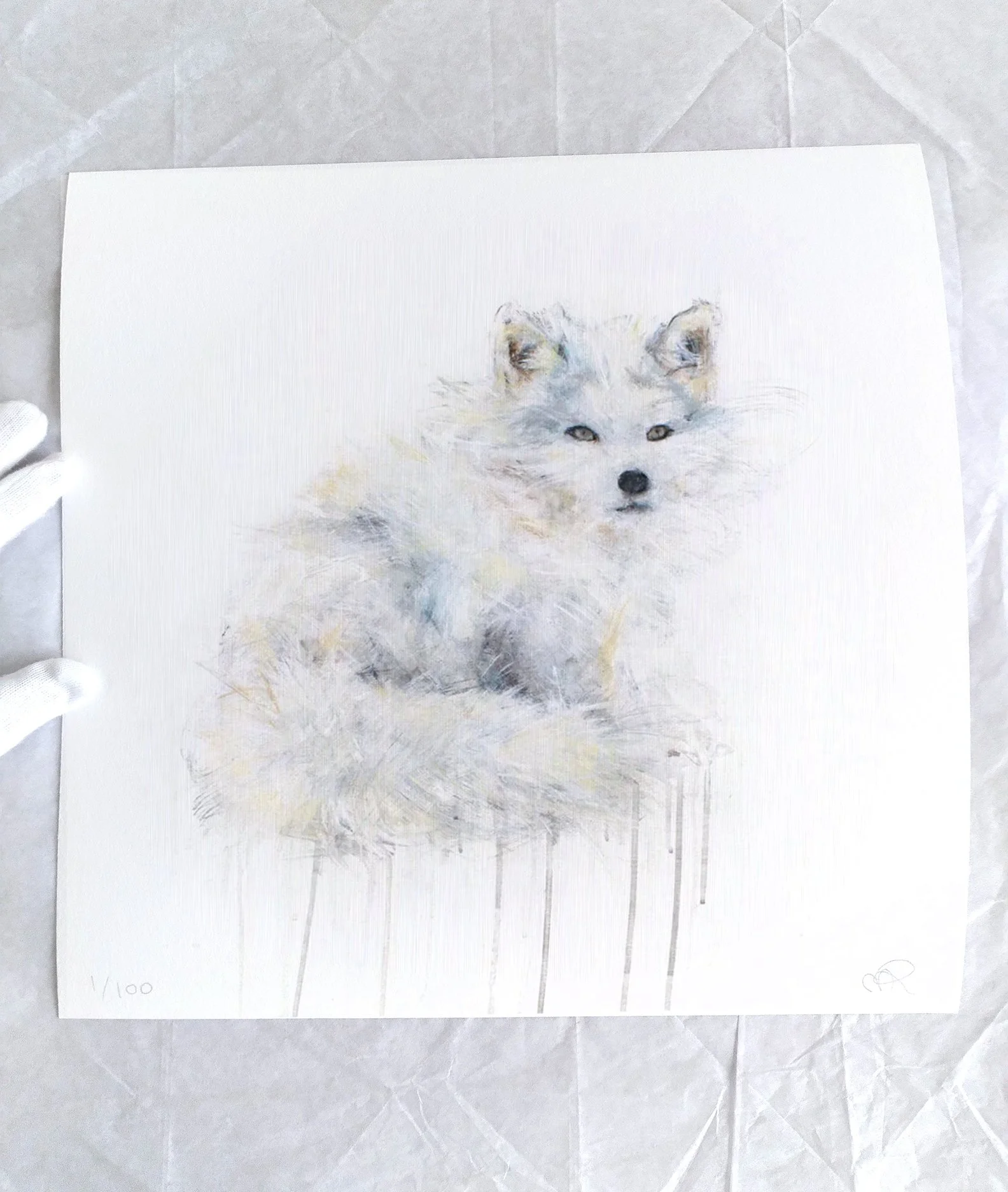 Arctic+Fox+IV_printimage2.jpg