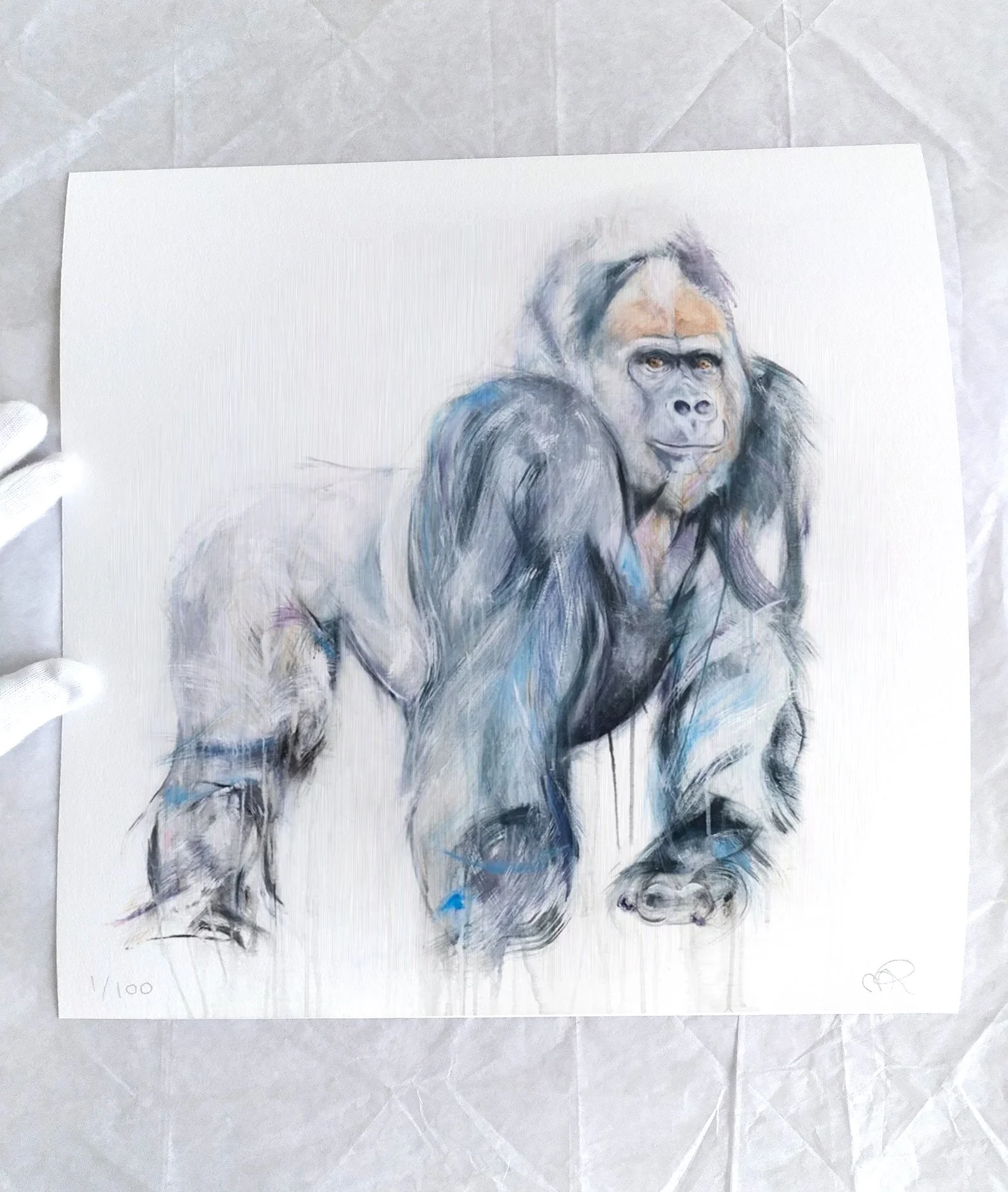 Gorilla+I_rintimage3.jpg