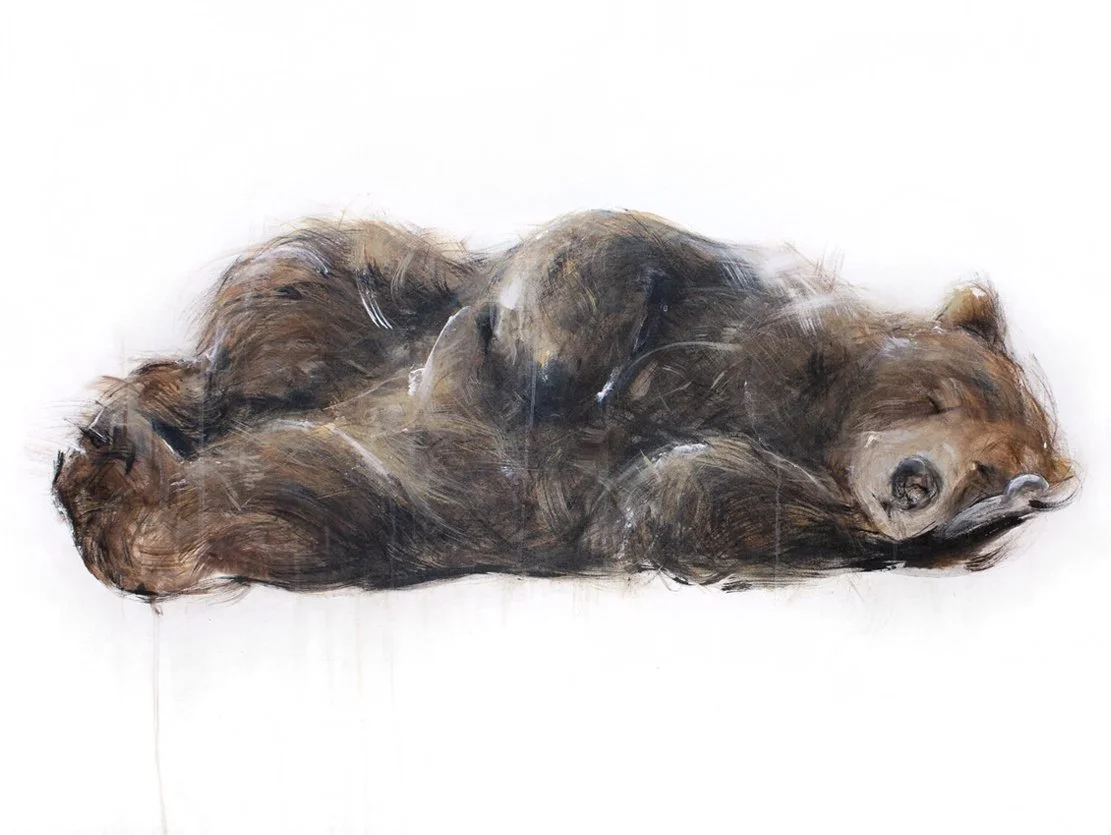 Grizzly+Bear+111_printimage.jpg