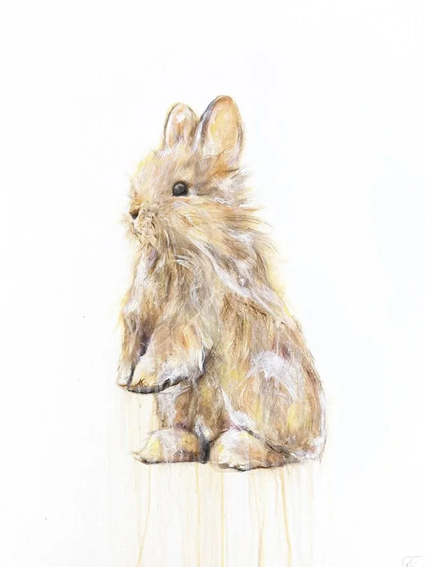 Rabbit VI printimage.jpg