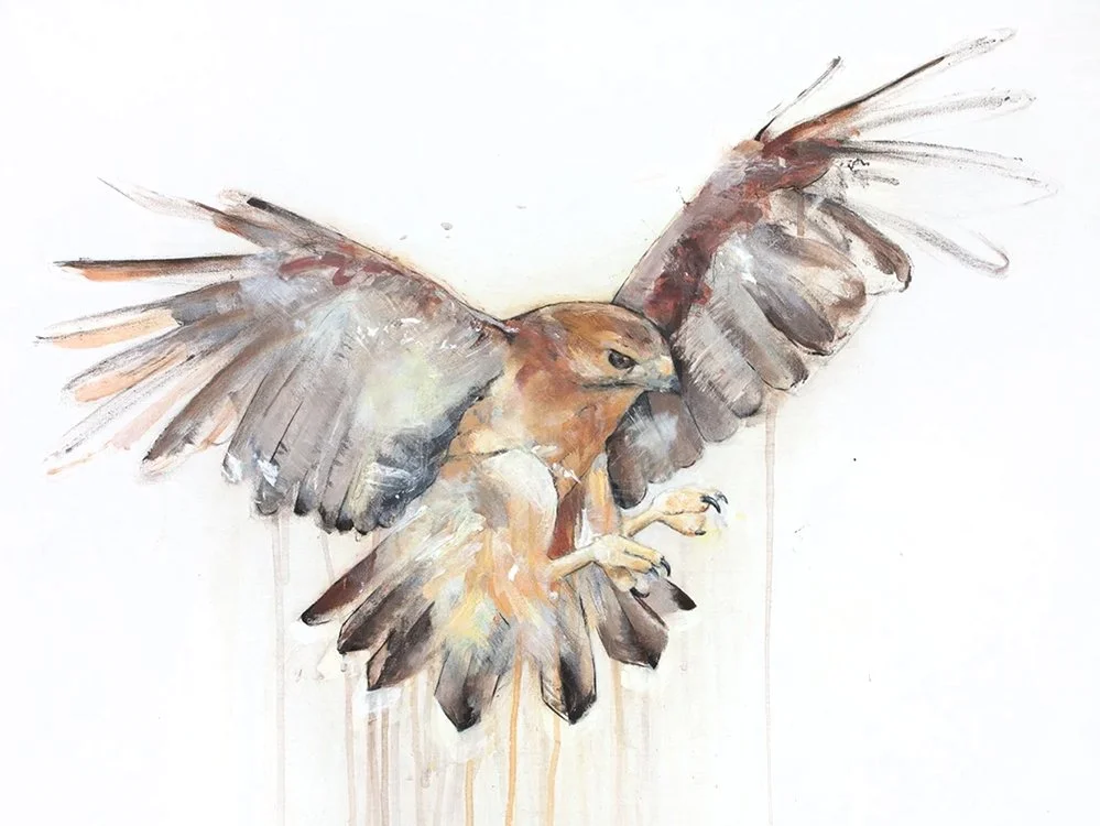 Hawk I_printimage.jpg