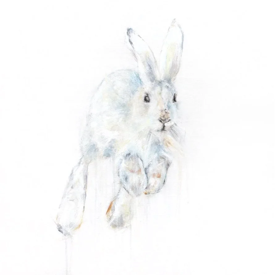 Snowshoe+Hare+VII_printimage.jpg