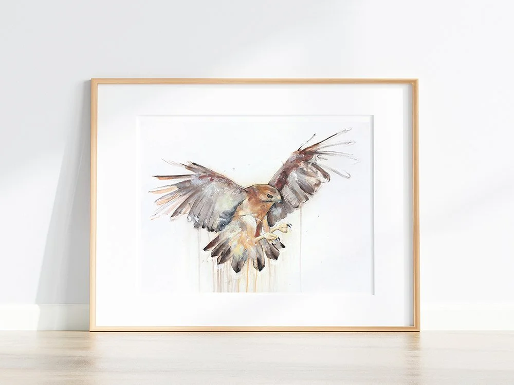 Hawk I_printiimage22.jpg