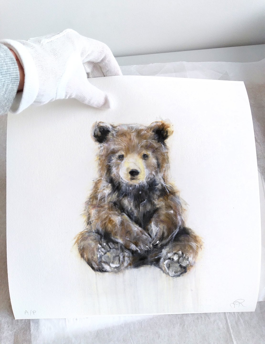 Grizzly+Bear+XVIII_1111_printimage3.jpg