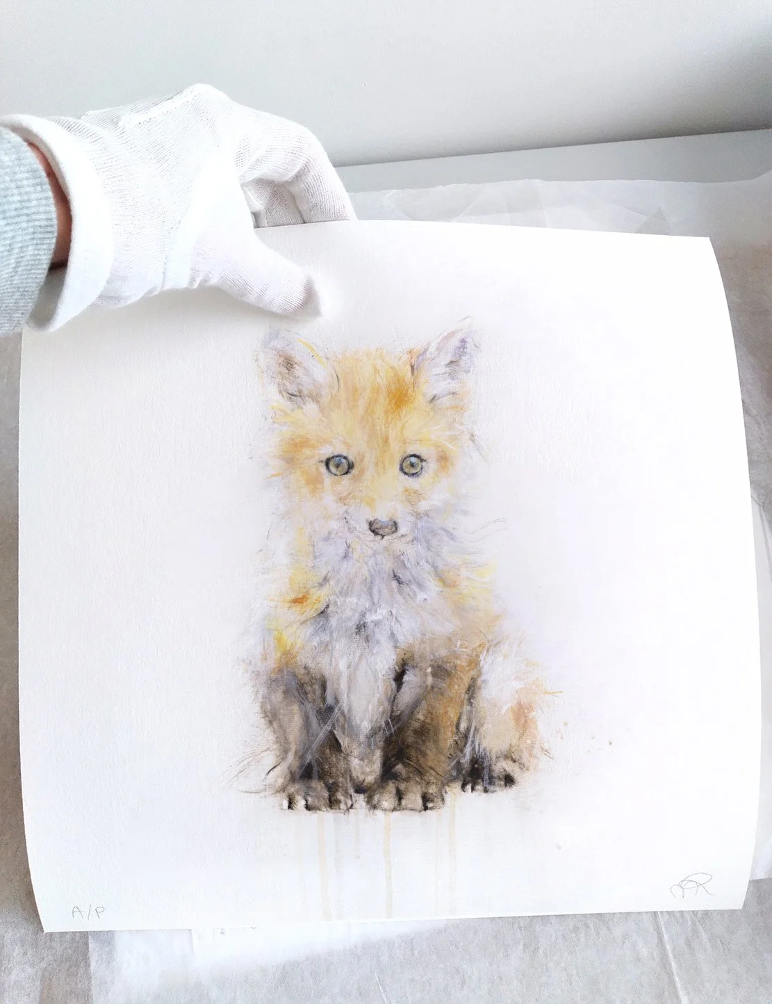Fox VI_printimage2.jpg