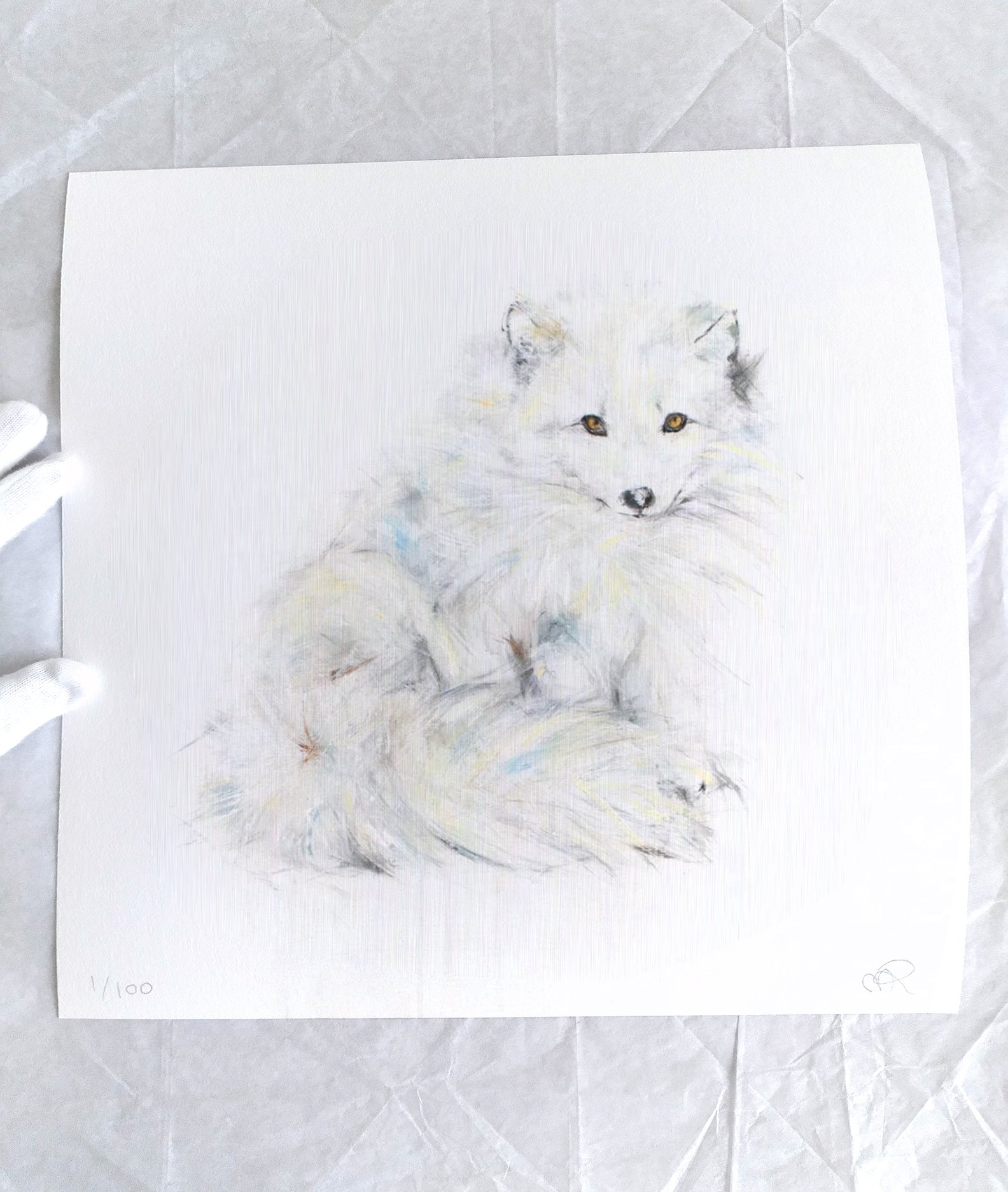 Arctic+Fox+V_printimage3.jpg