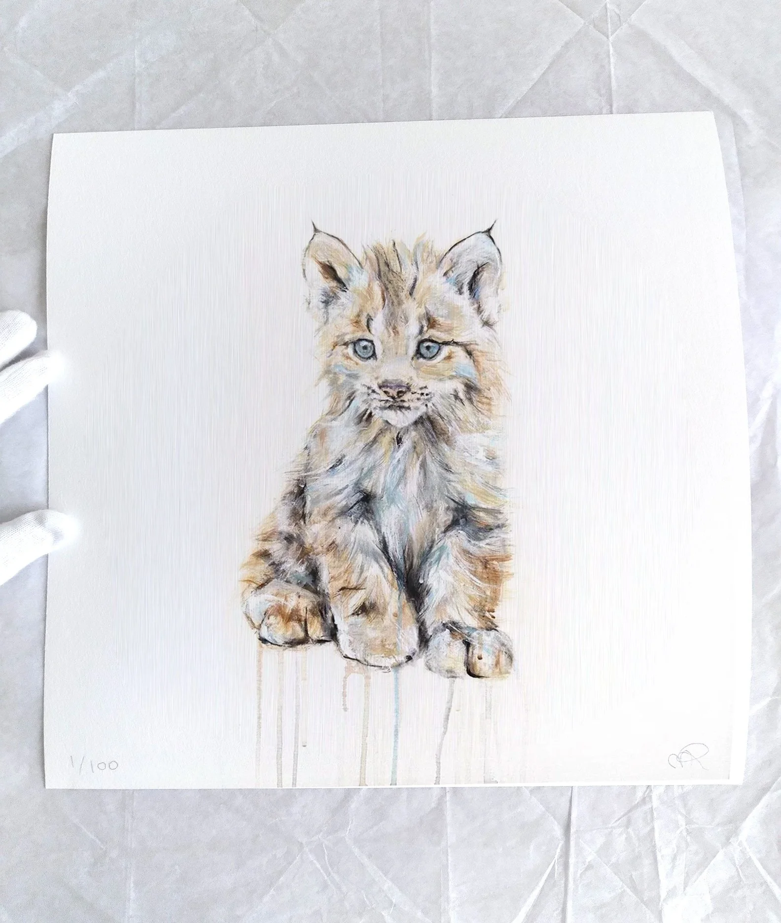Lynx+VI_printimage3.jpg