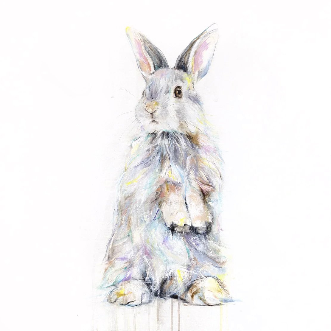 Rabbit+IV_printimage.jpg