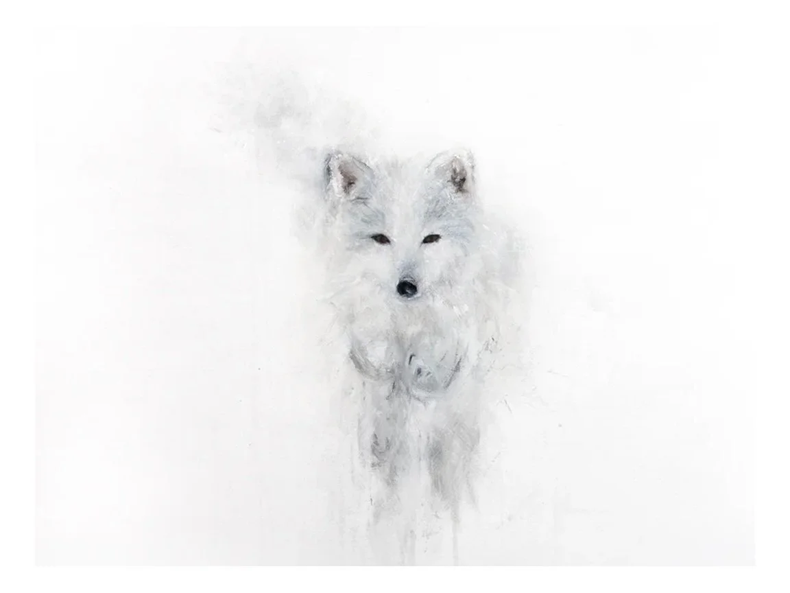 Arctic Fox I_printimage.jpg