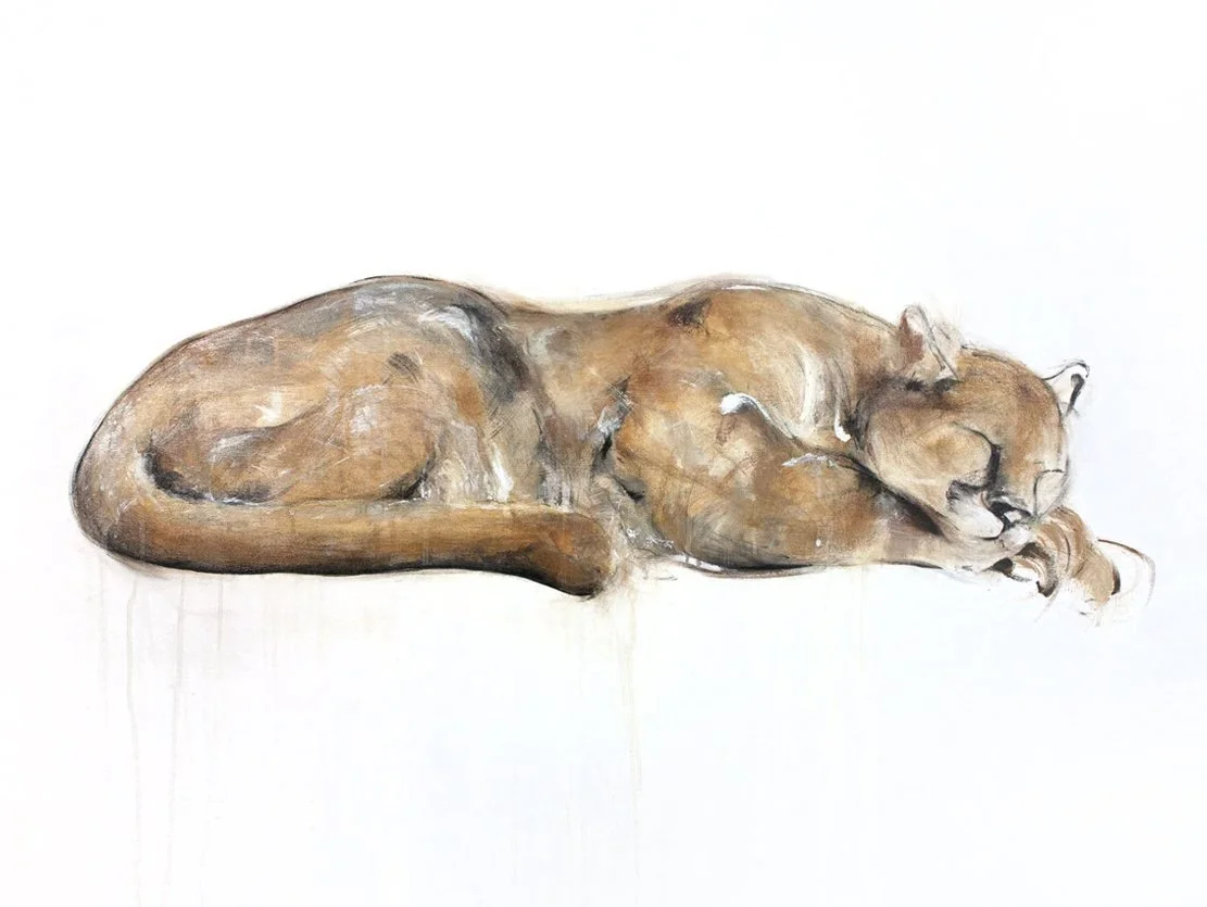 Cougar+III_printimage.jpg (Copy)