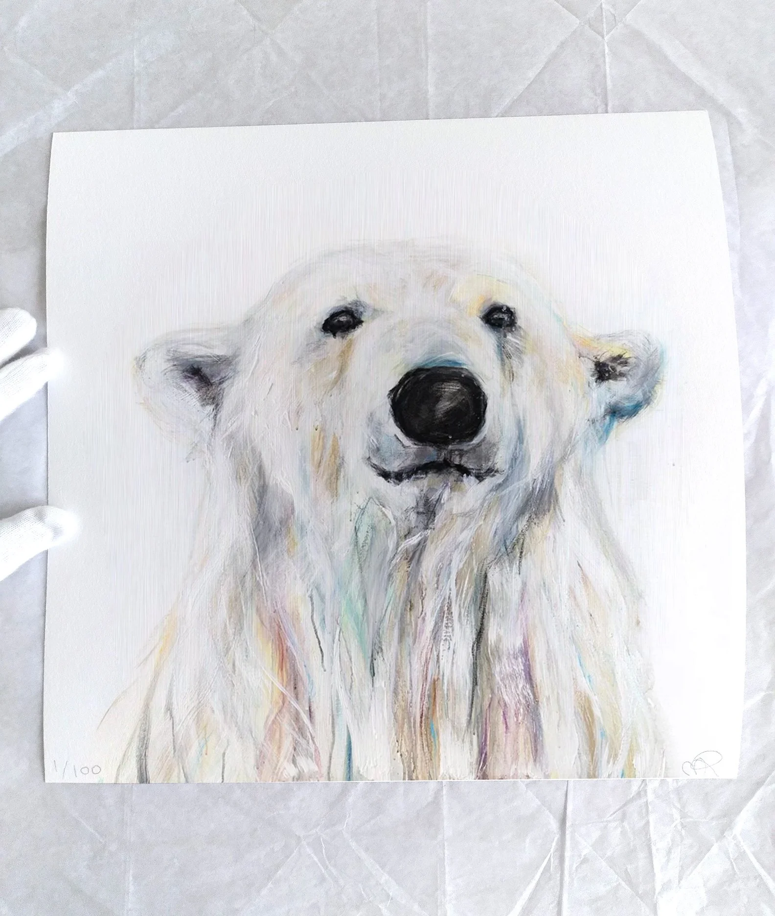 Polar+Bear+LXXXV_printimage3.jpg