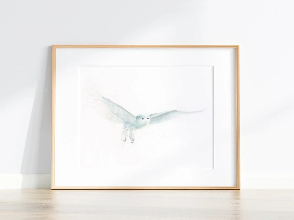 Snowy Owl IV_printimage22.jpg
