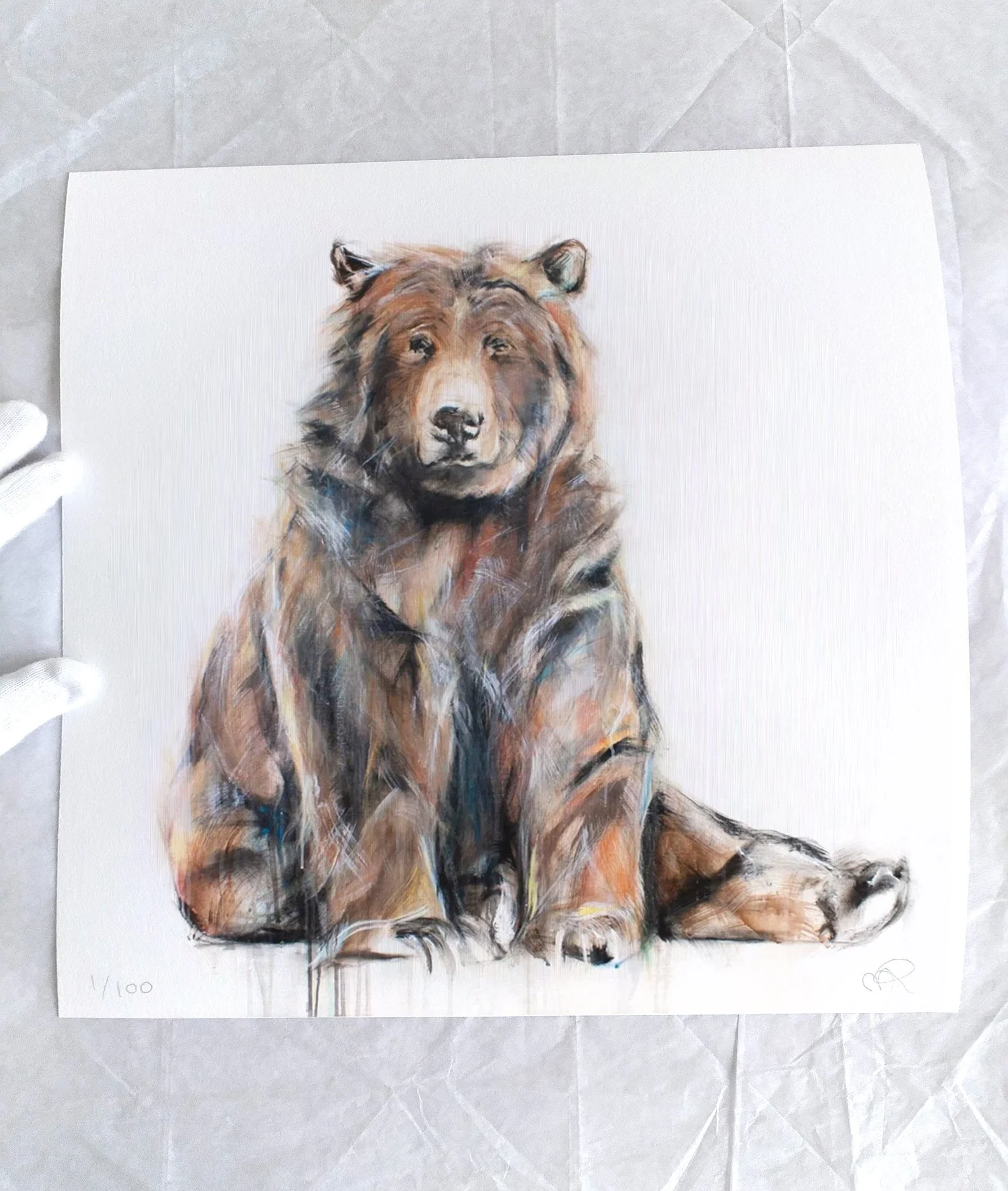 Grizzly+Bear+X_printimage2.jpg