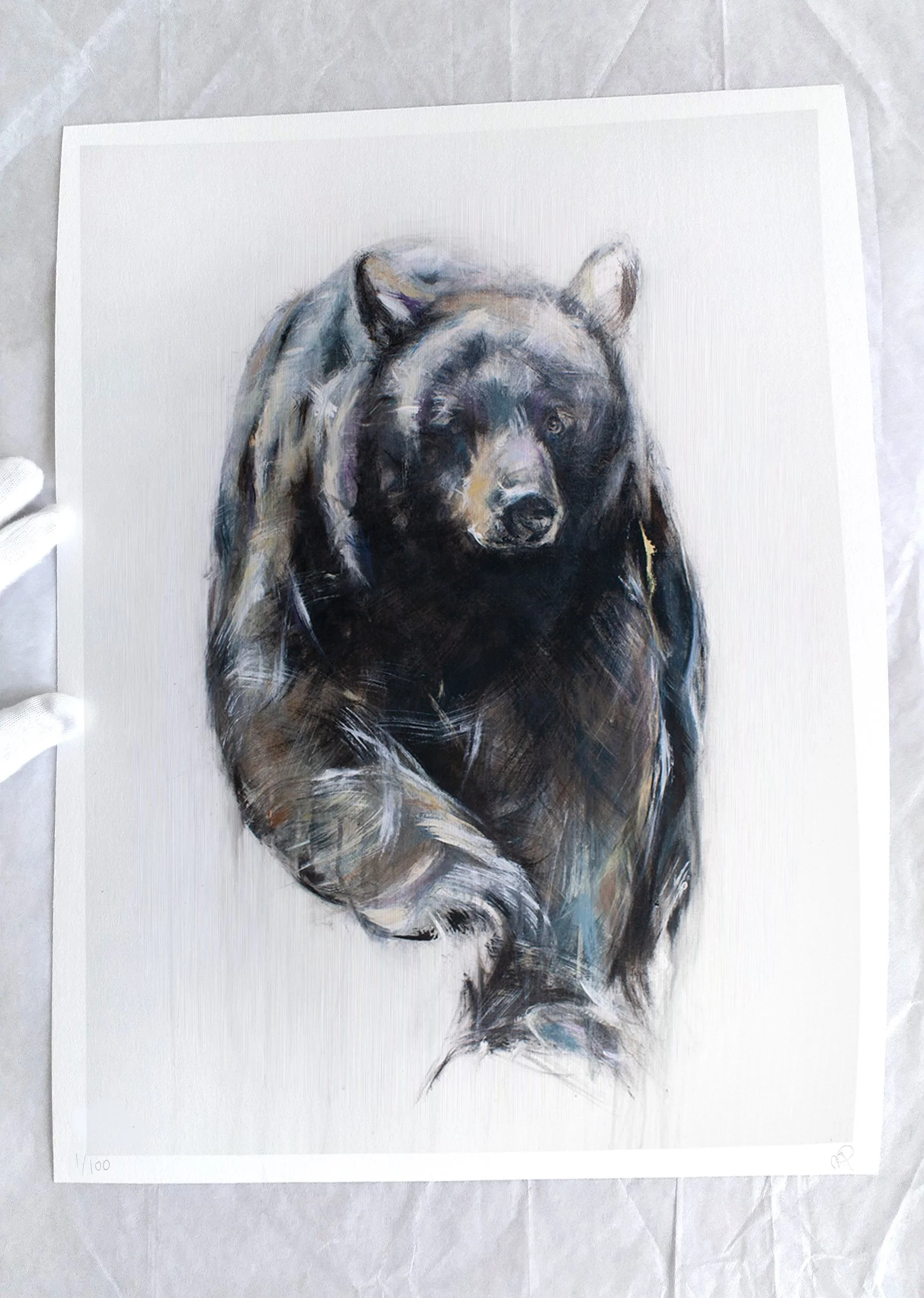 Black+Bear+I_printimage3.jpg