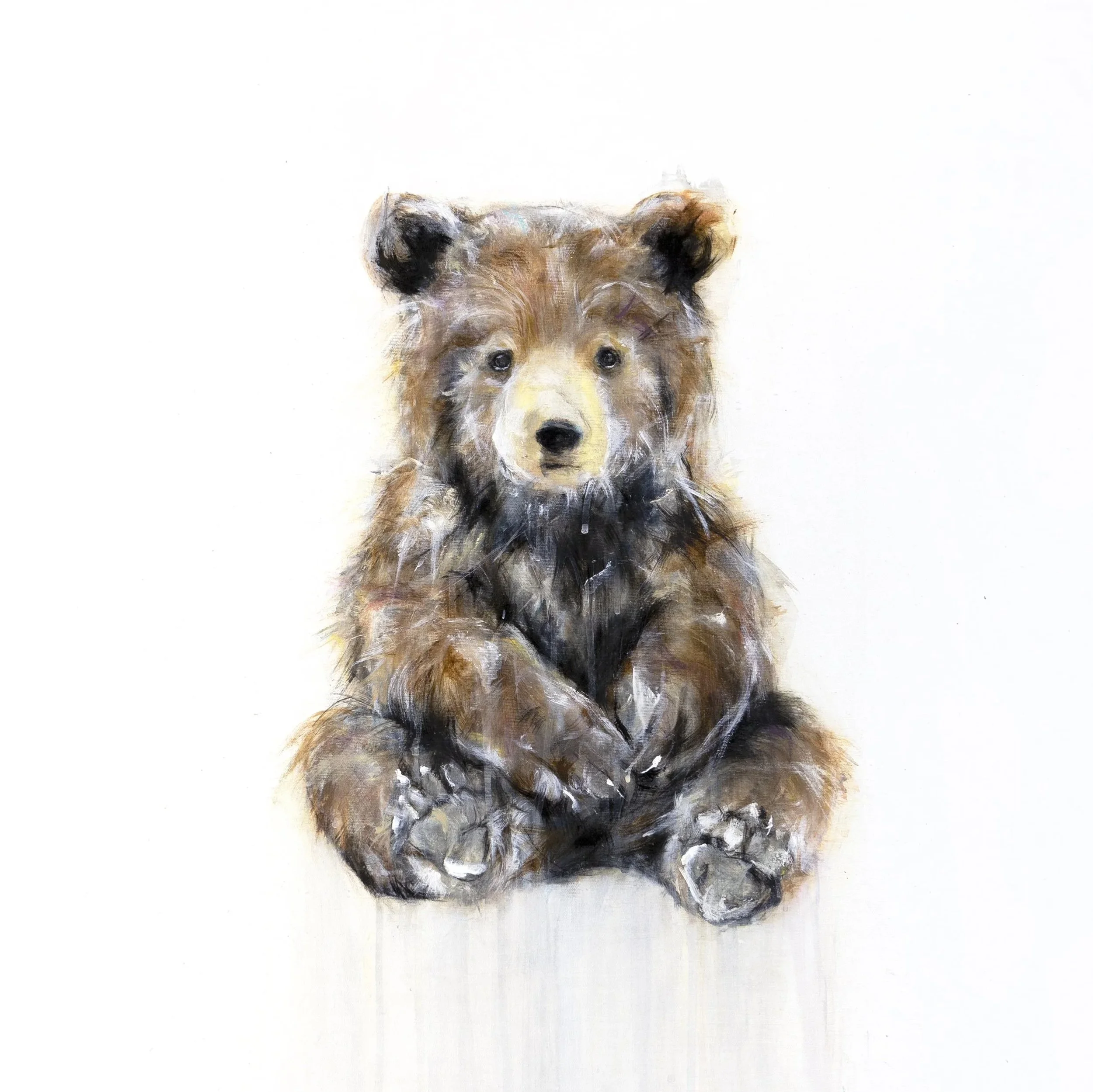 Grizzly+Bear+XVIII_1111_printimage.jpg